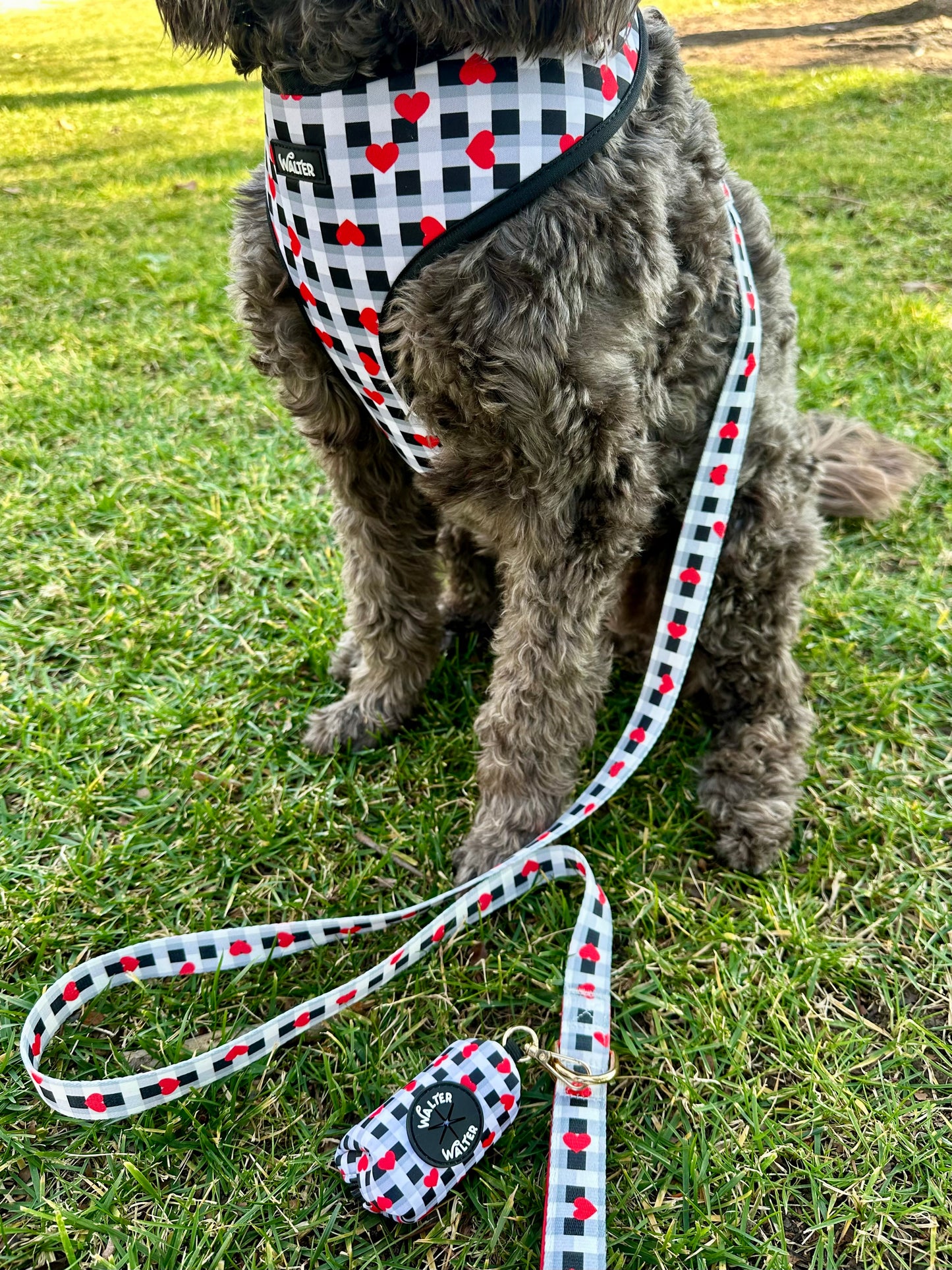Plaid Heart Dog Leash