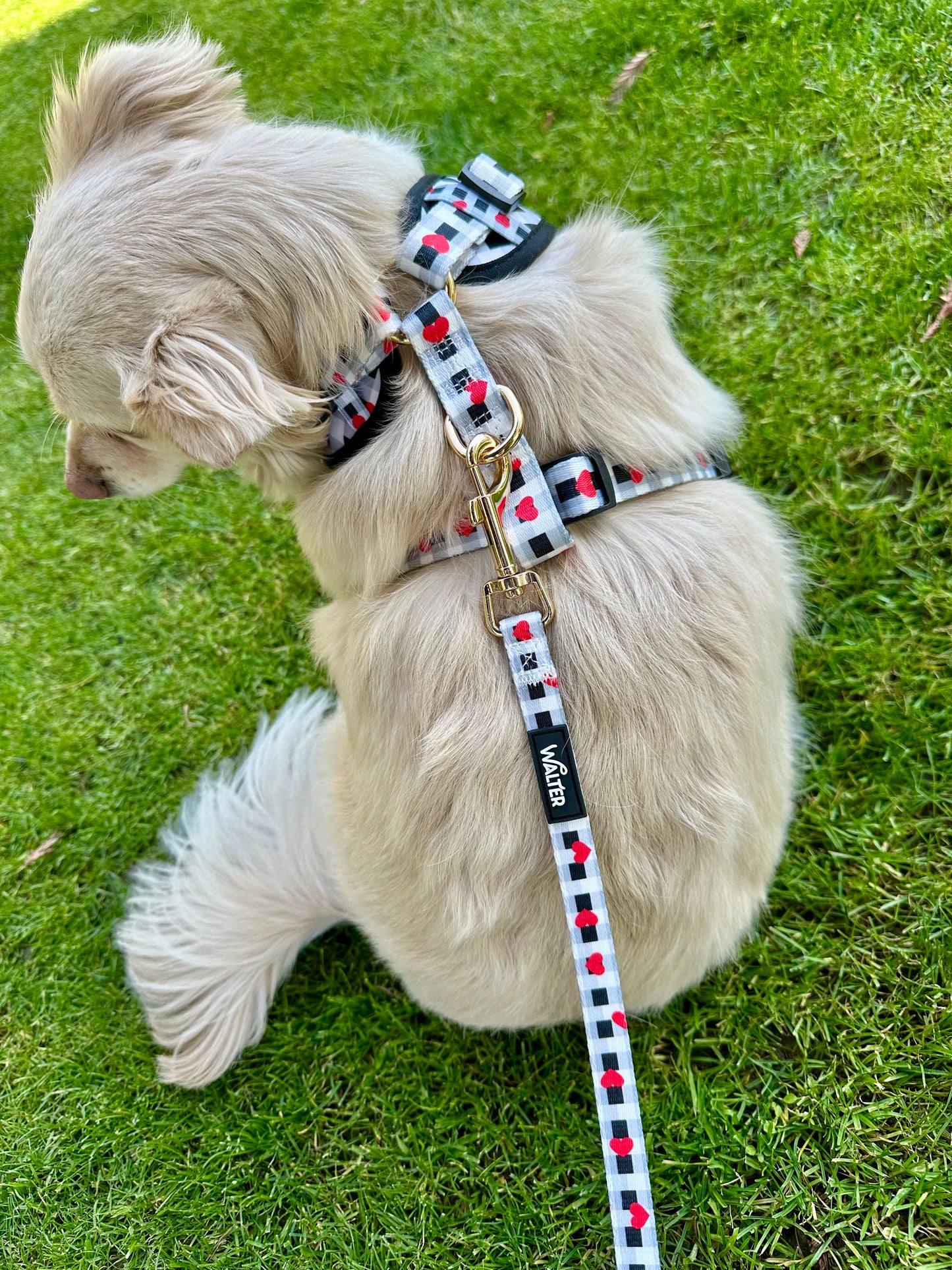Plaid Heart Dog Harness