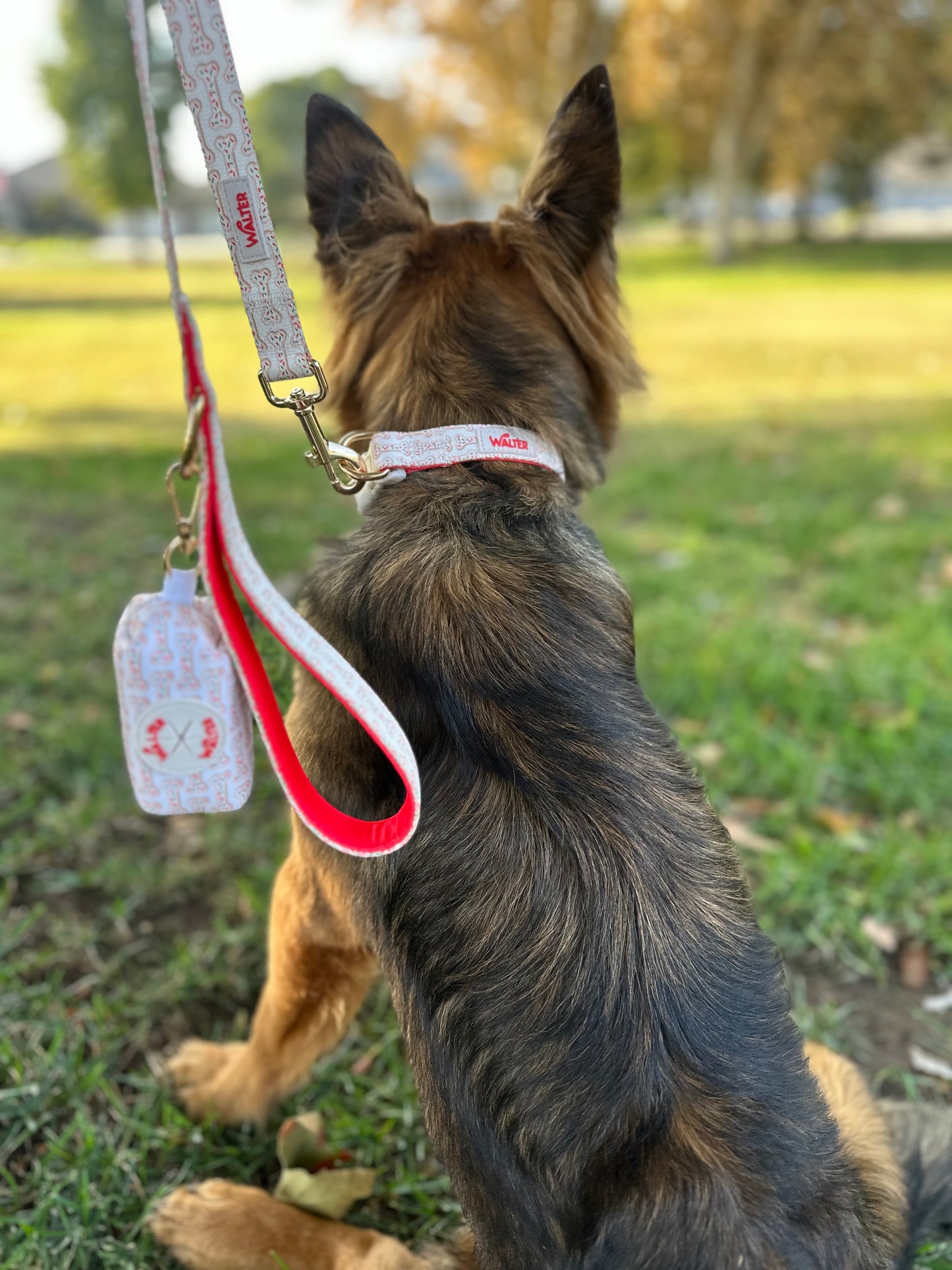 Cookie Dog Collar