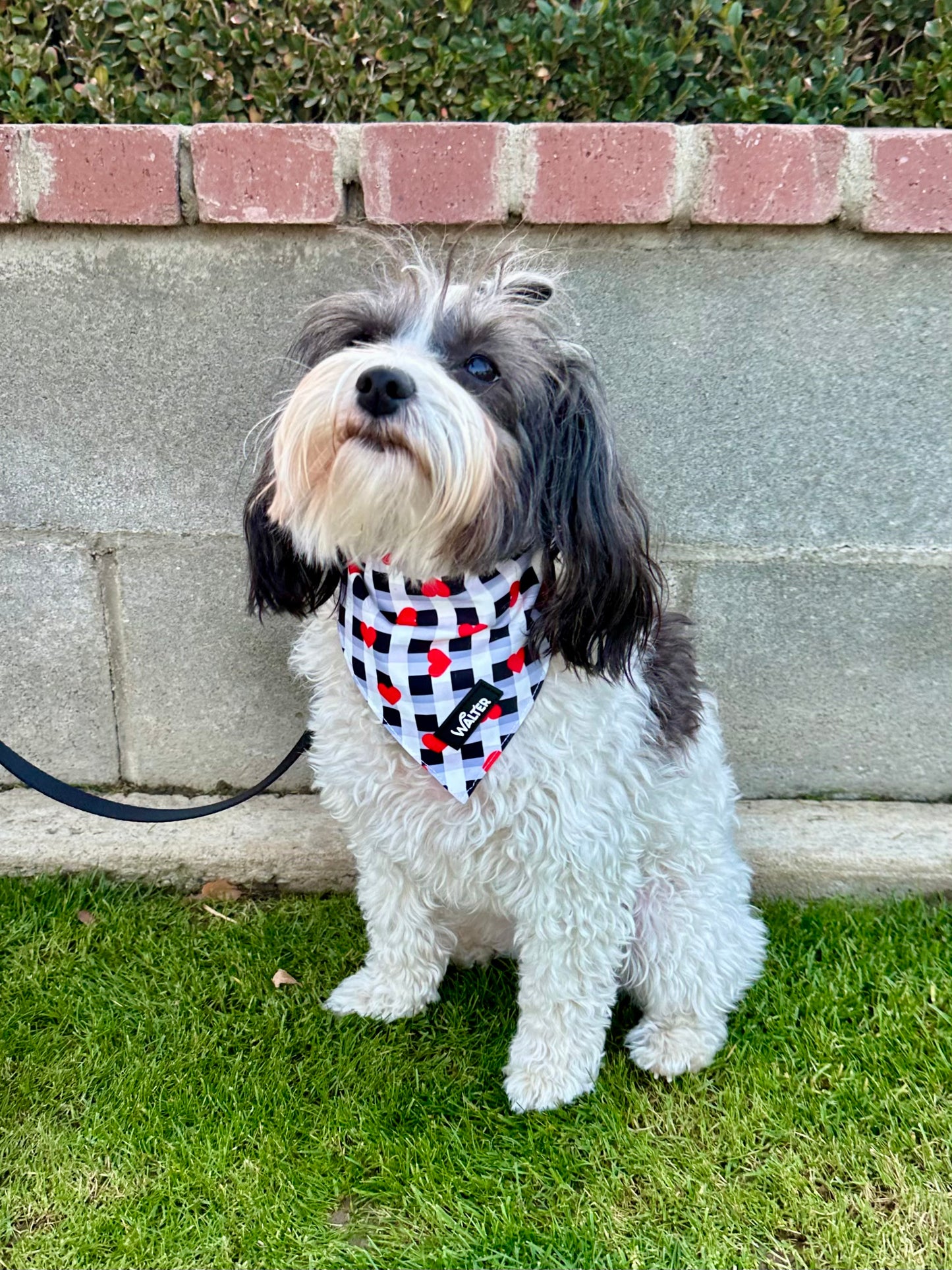 Plaid Heart Dog Bandana