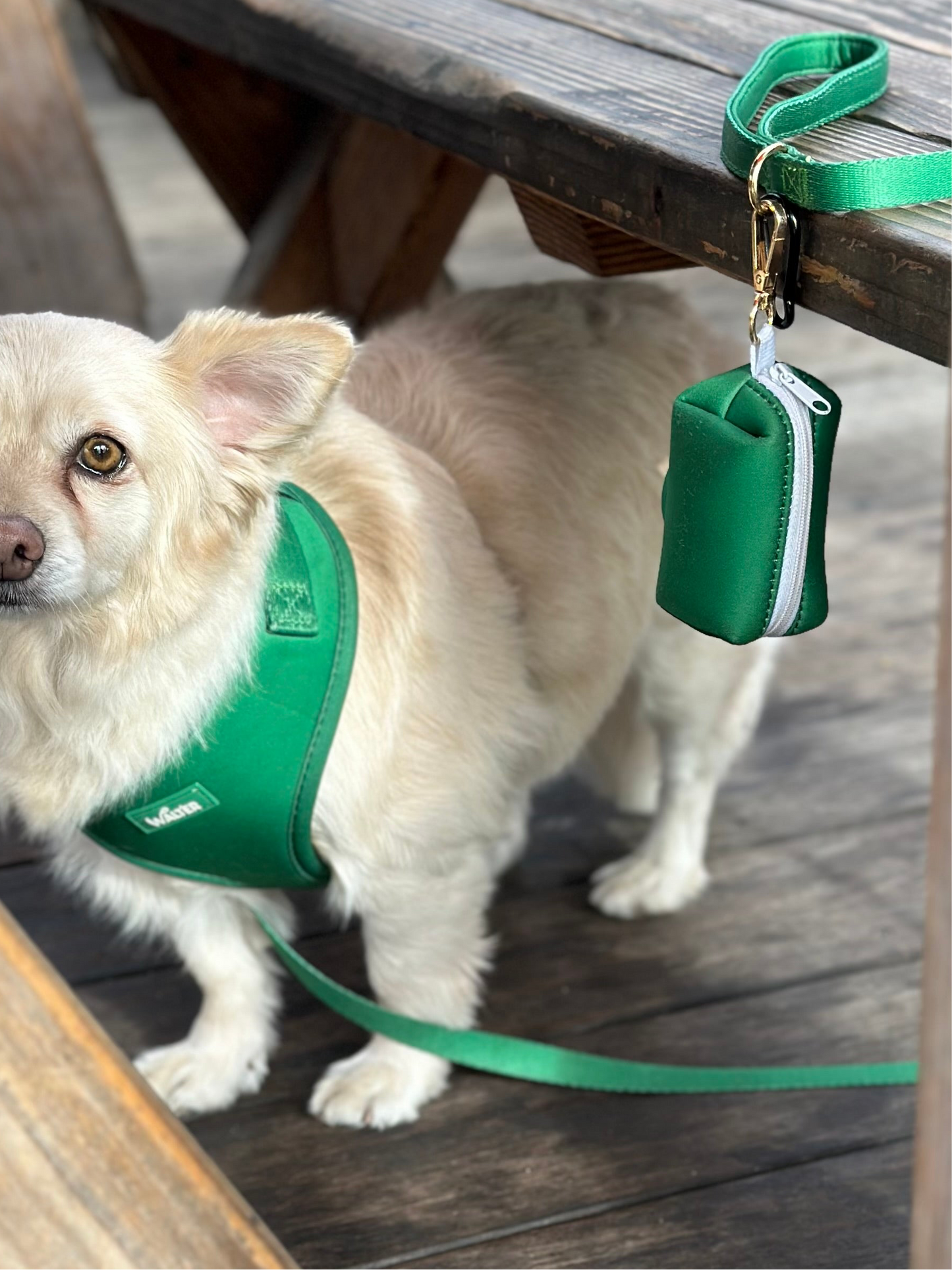 Green Poop Bag Holder
