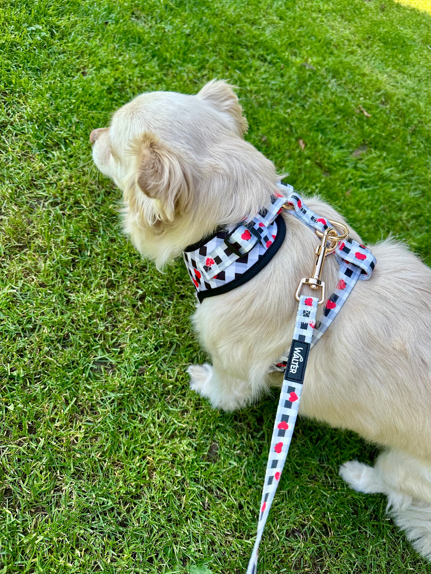 Plaid Heart Dog Leash