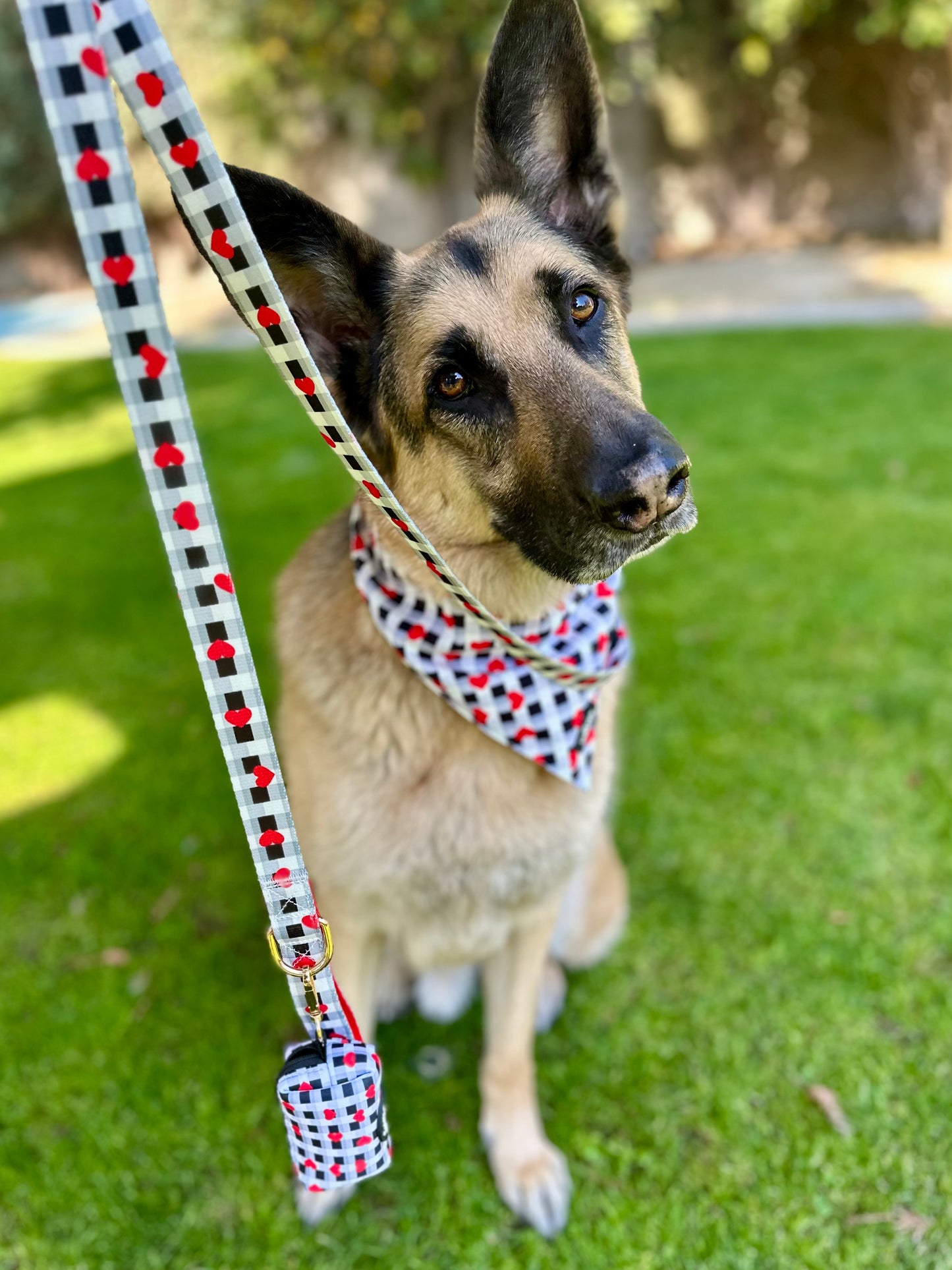 Plaid Heart Dog Leash