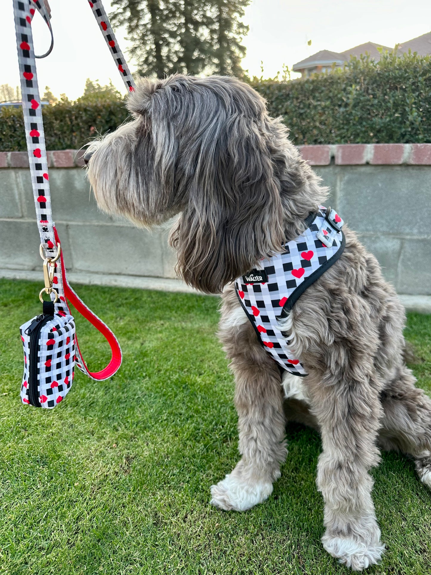 Plaid Heart Poop Bag Holder