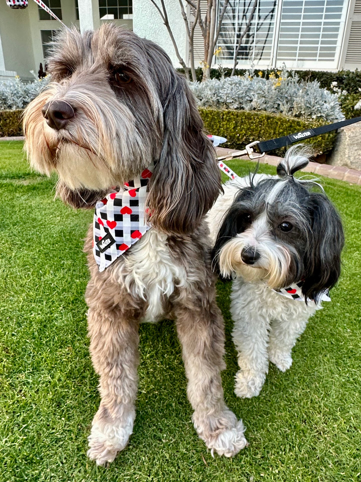 Plaid Heart Dog Bandana