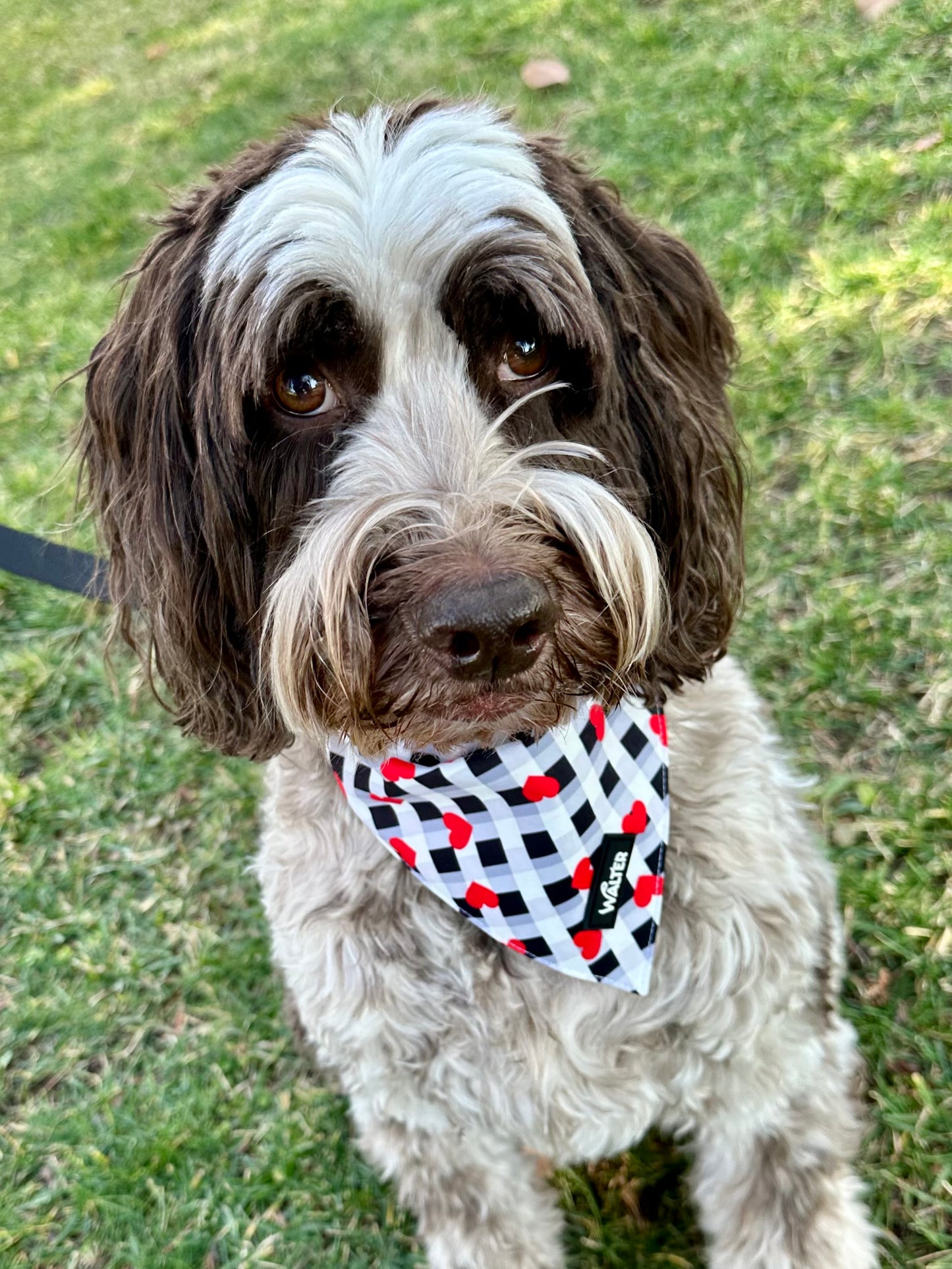 Plaid Heart Dog Bandana