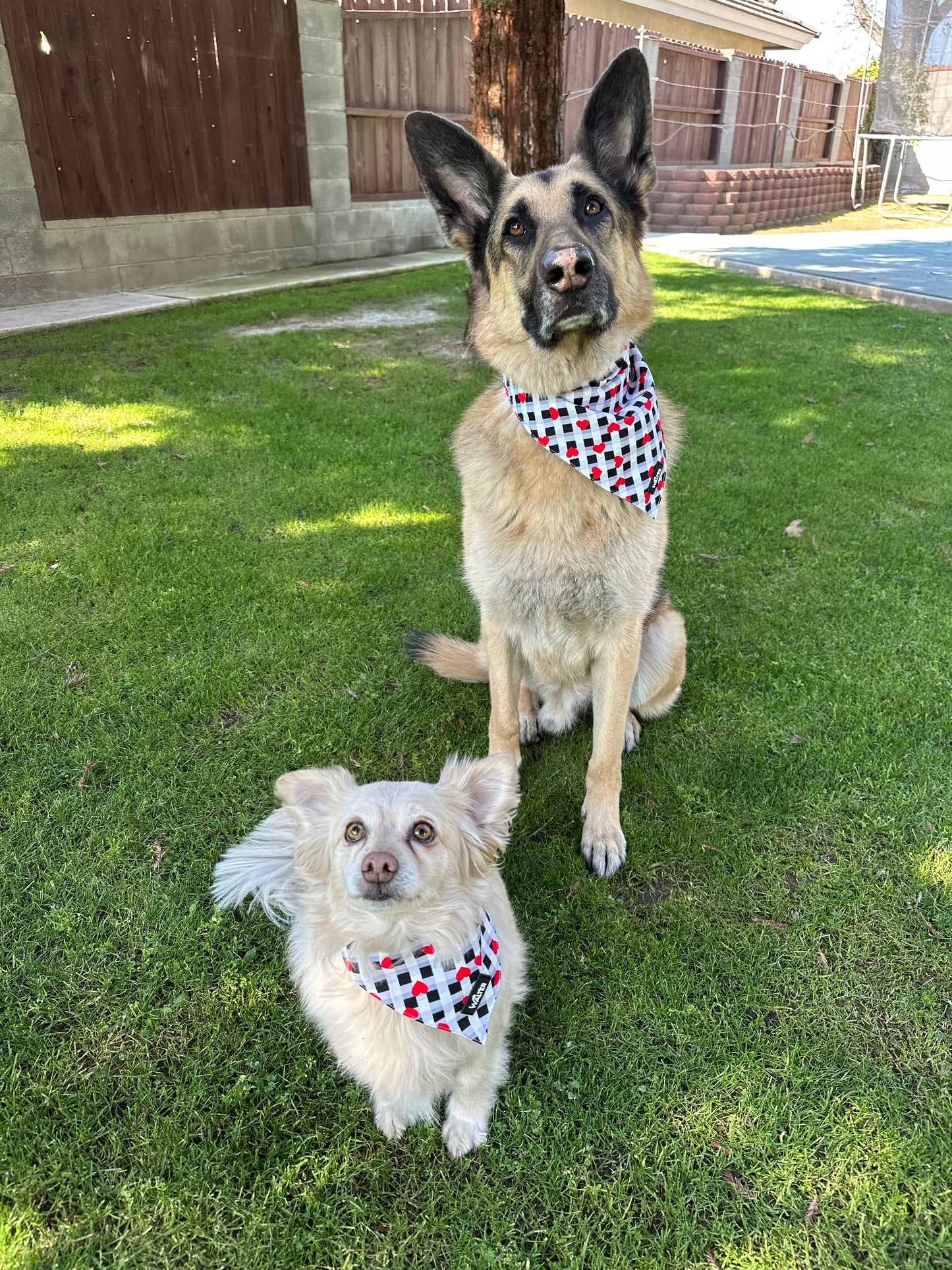 Plaid Heart Dog Bandana
