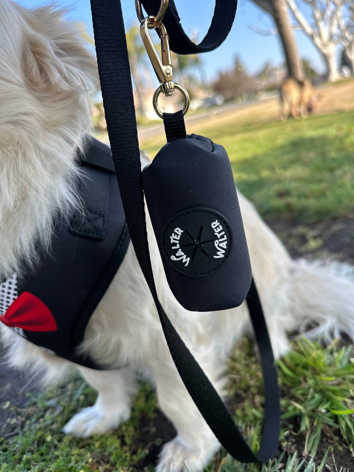 Black Dog Leash