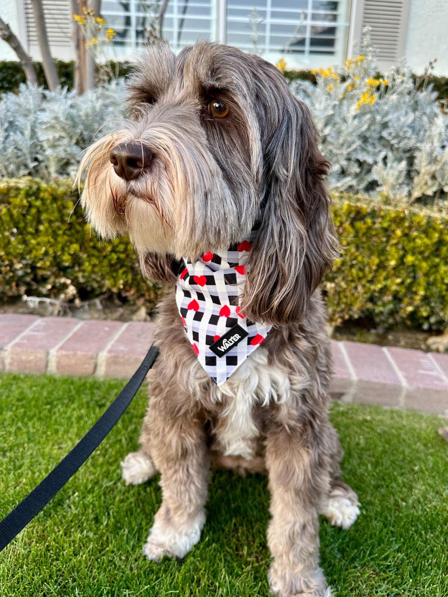 Plaid Heart Dog Bandana