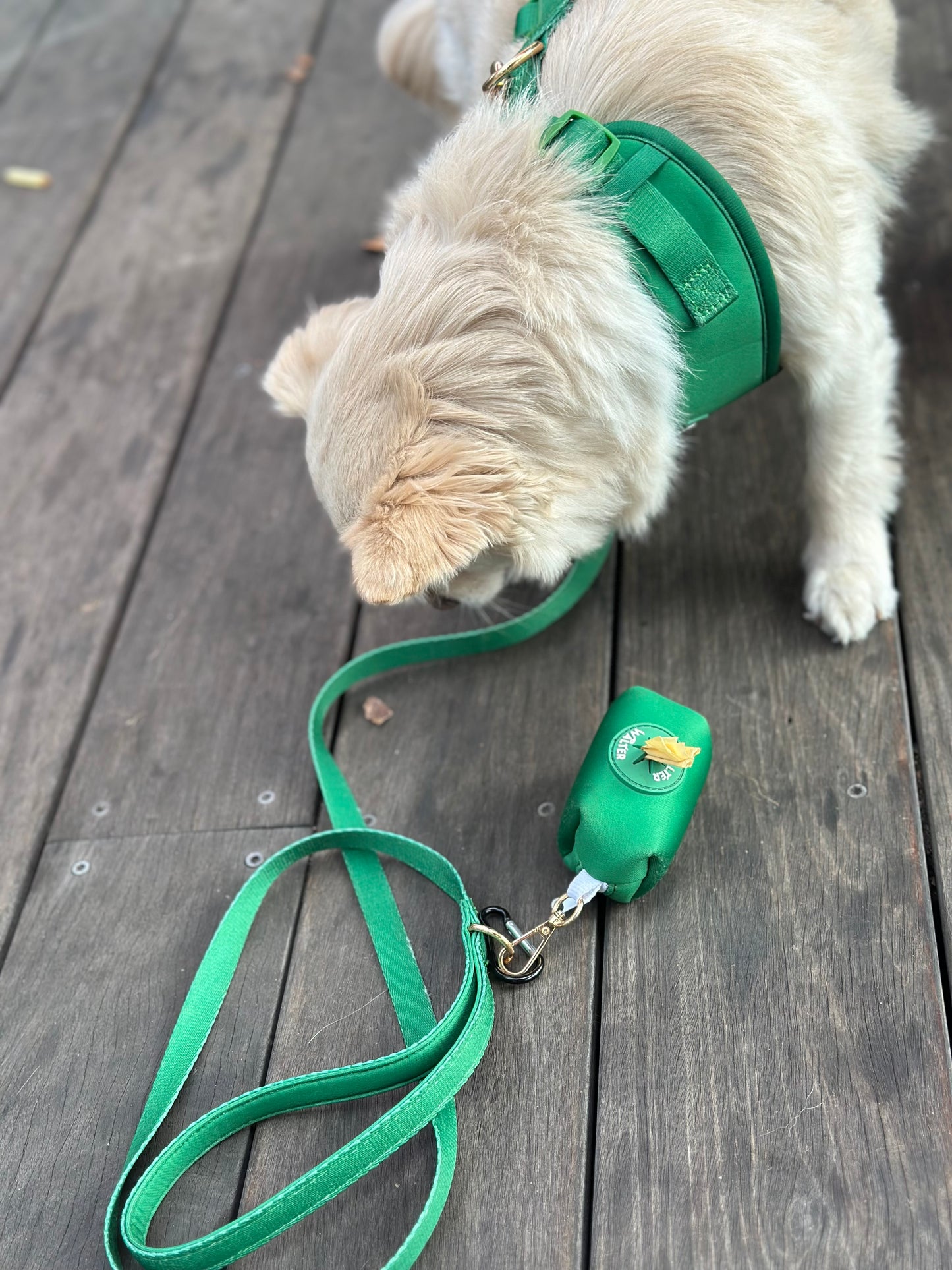 Green Dog Leash