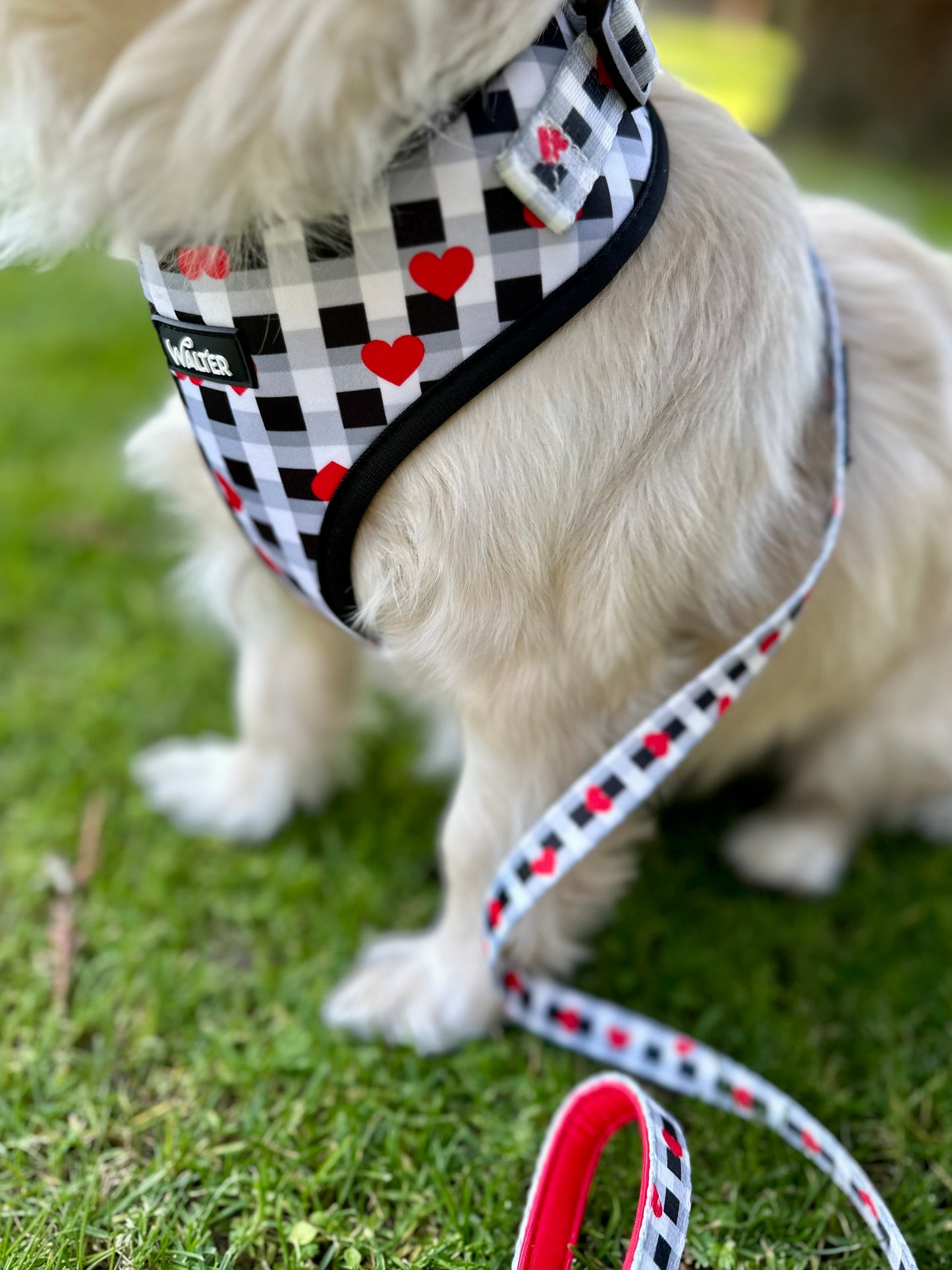 Plaid Heart Dog Harness