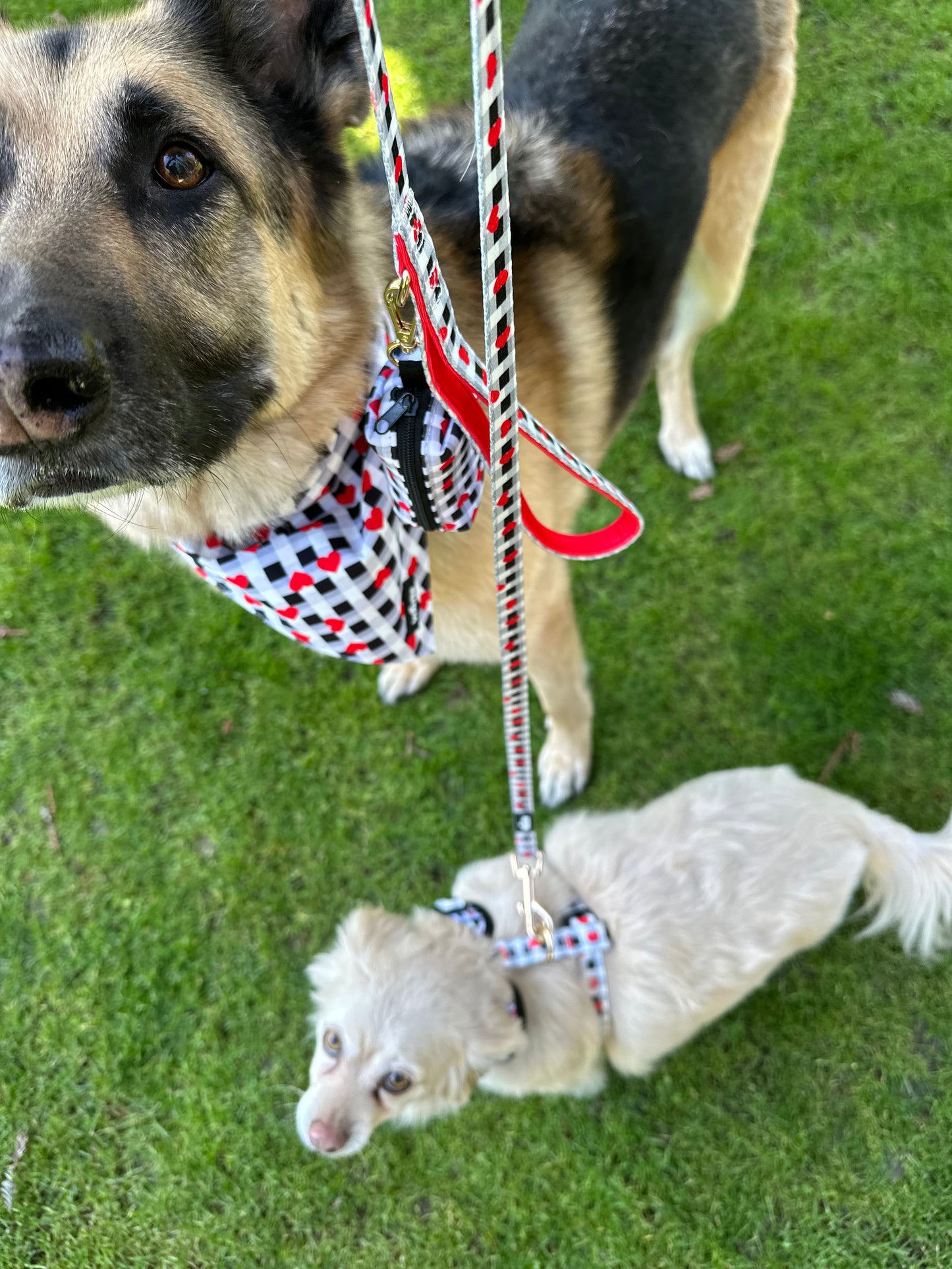 Plaid Heart Dog Leash