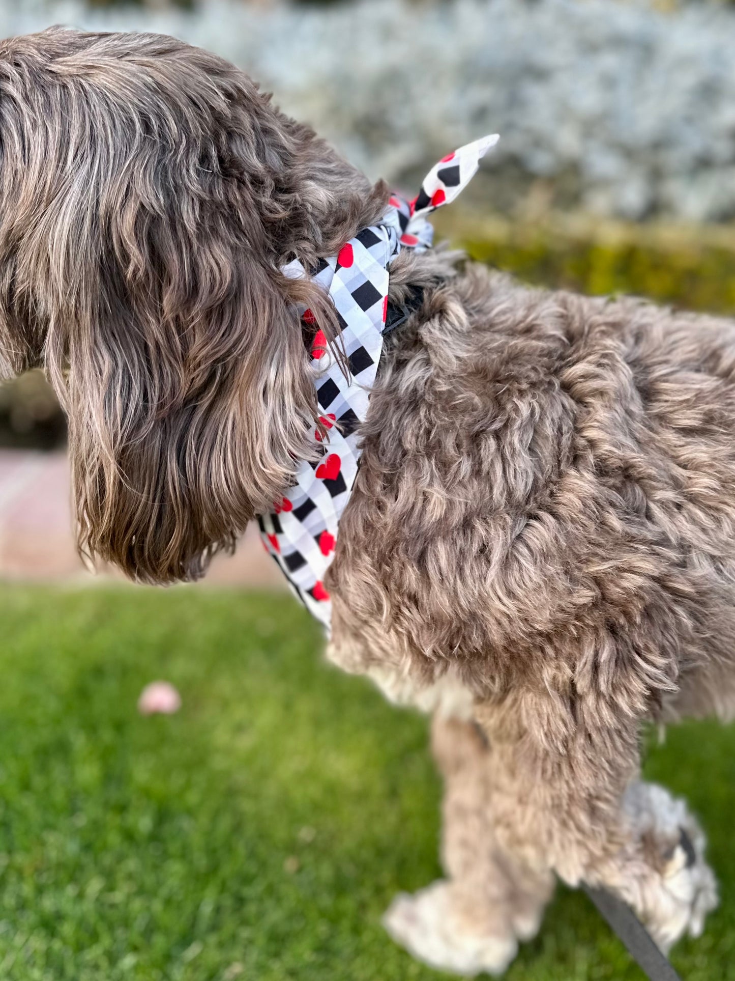 Plaid Heart Dog Bandana