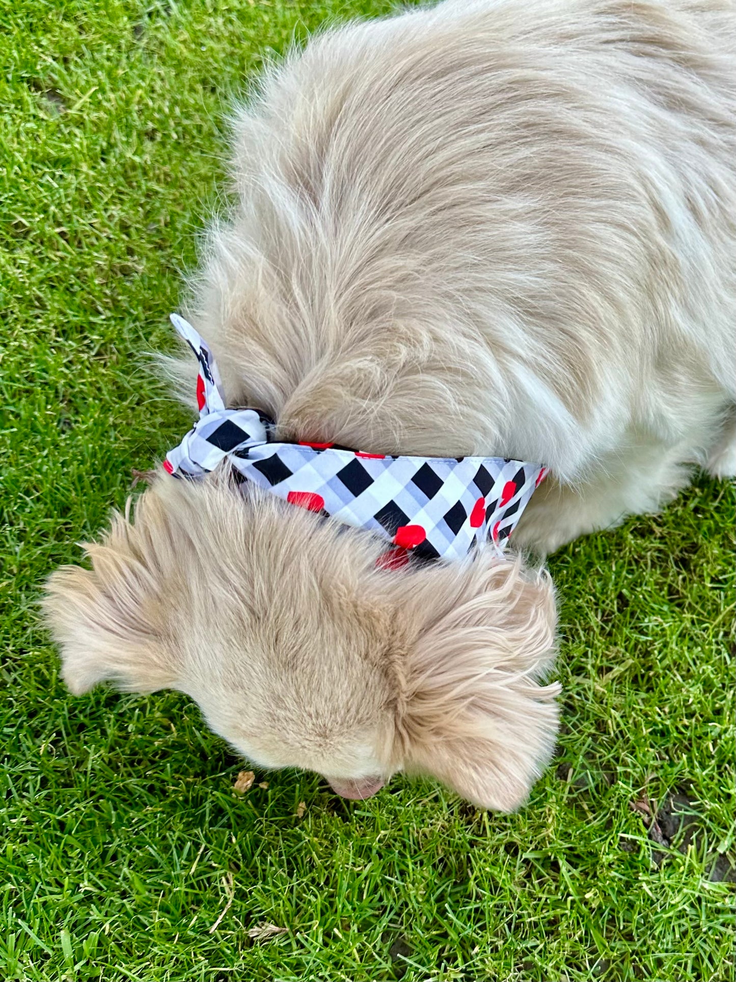 Plaid Heart Dog Bandana