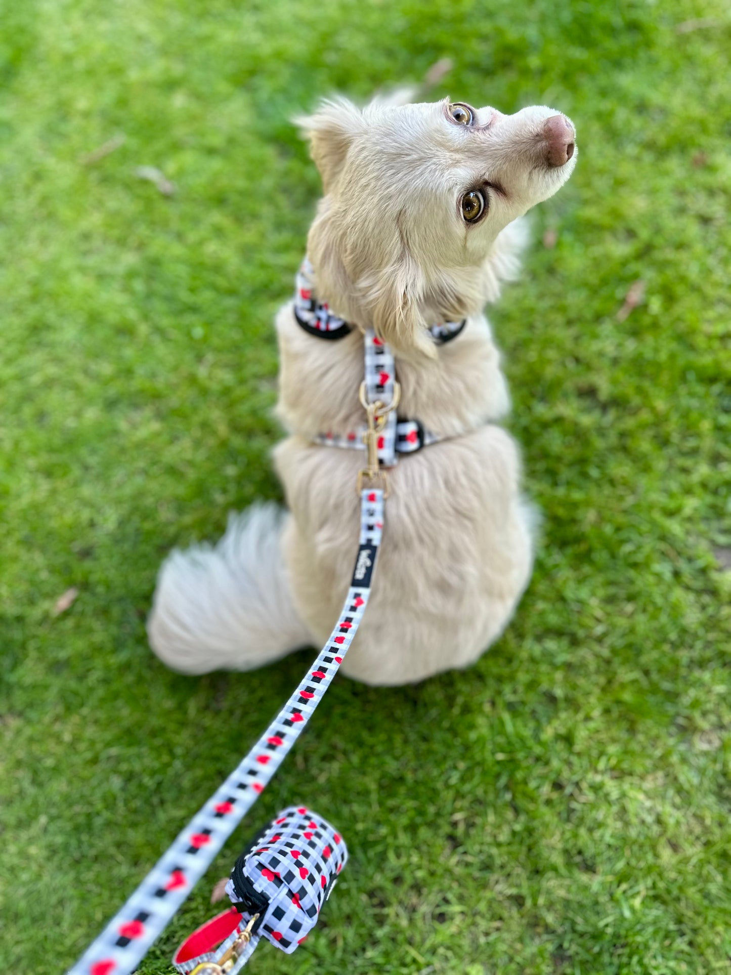 Plaid Heart Dog Leash