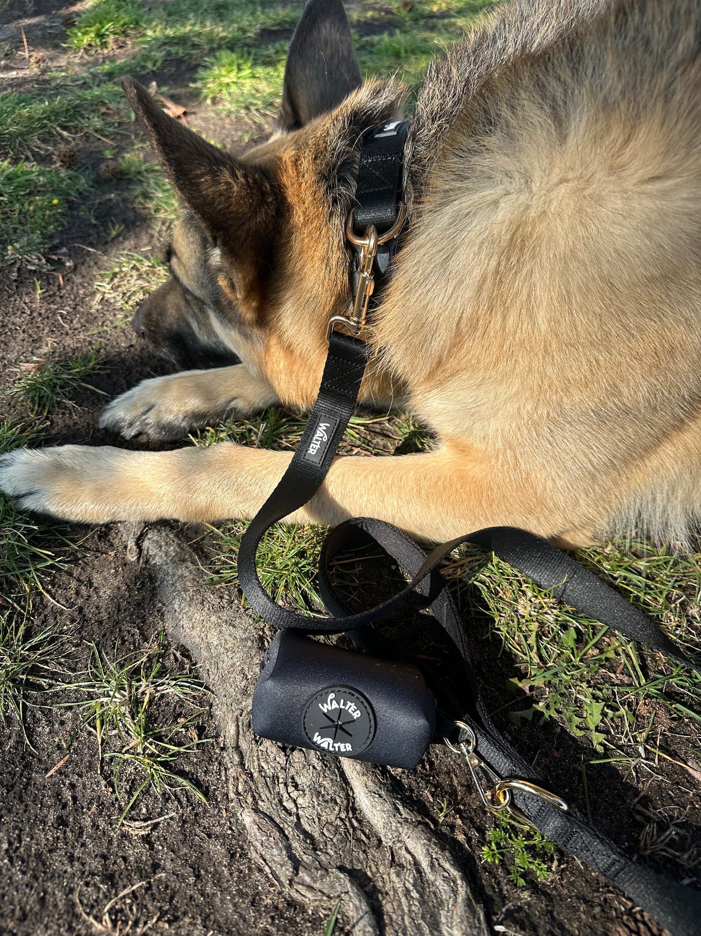 Black Dog Leash