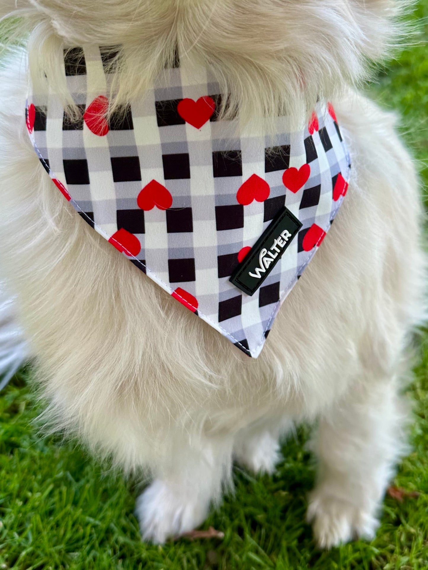 Plaid Heart Dog Bandana