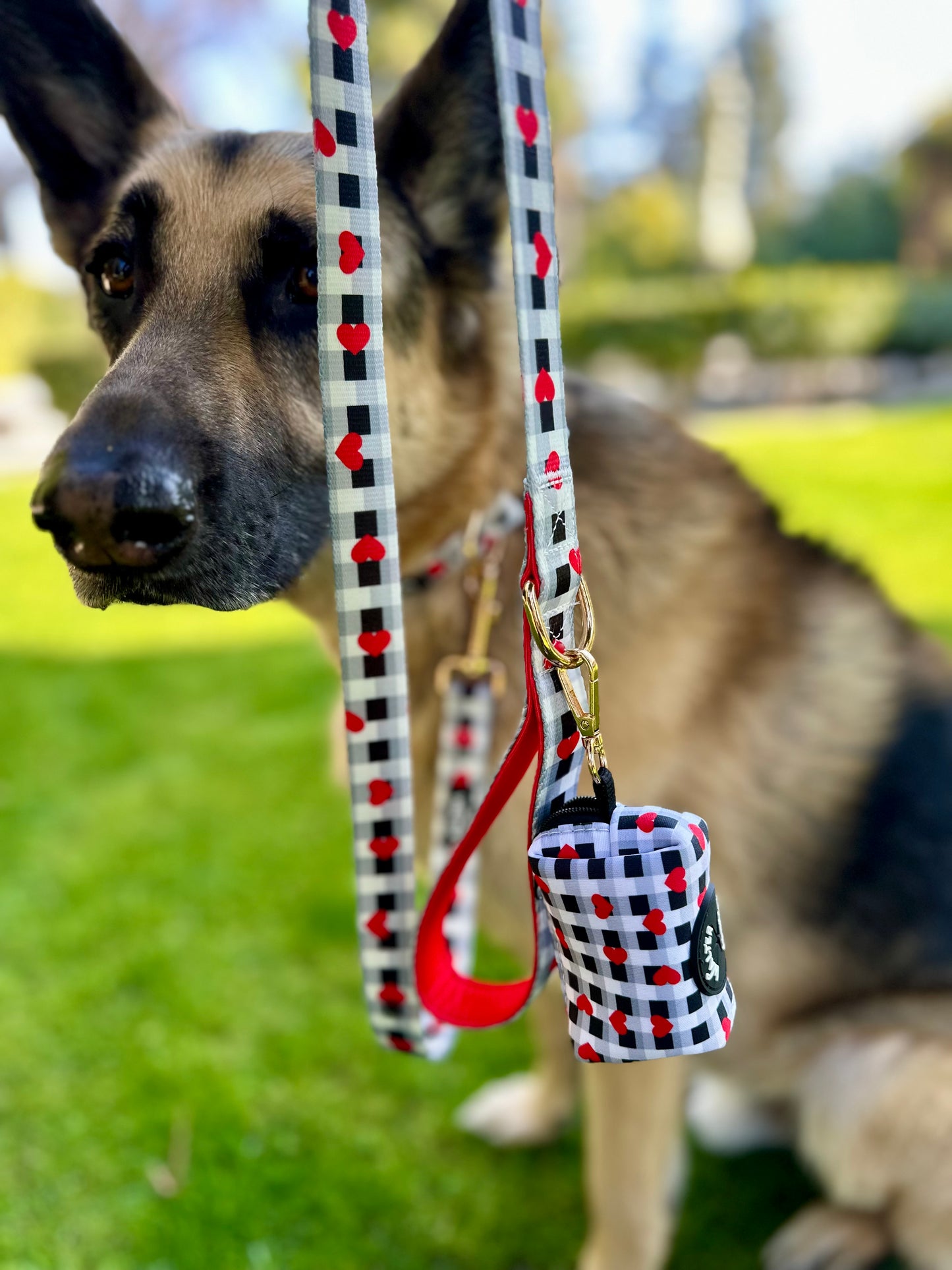 Plaid Heart Dog Leash