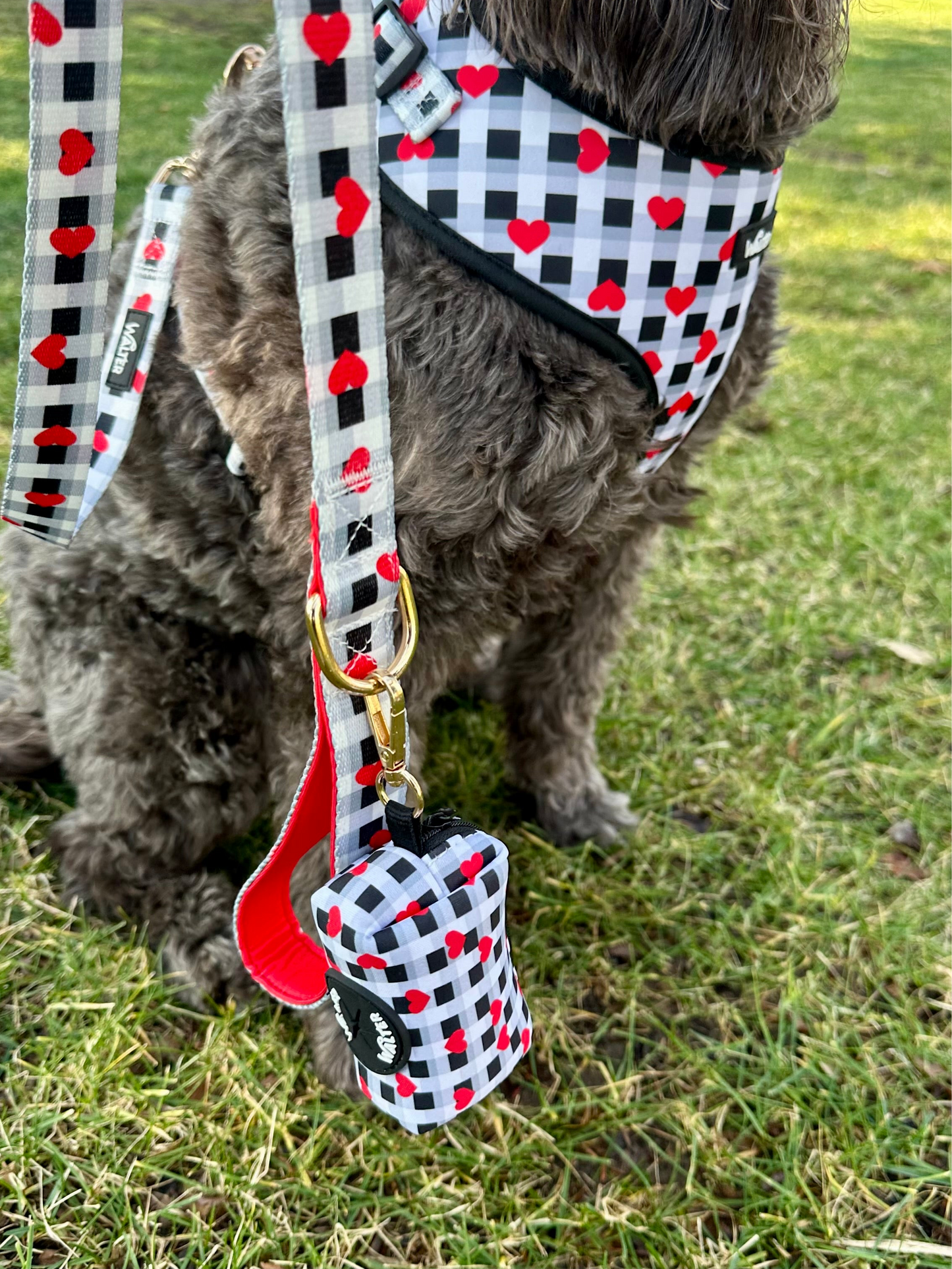 Plaid Heart Poop Bag Holder