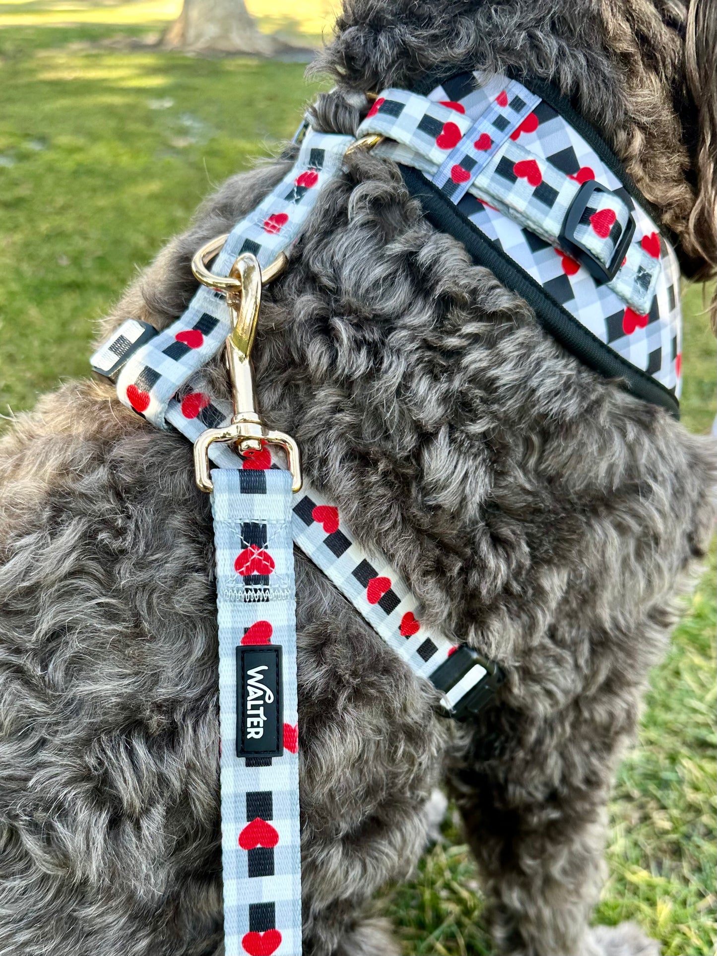 Plaid Heart Dog Harness