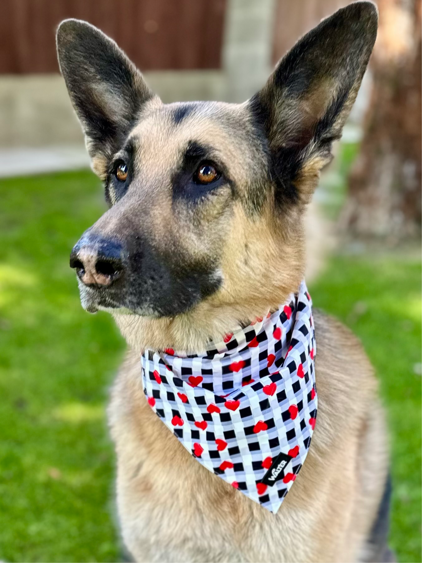 Plaid Heart Dog Bandana