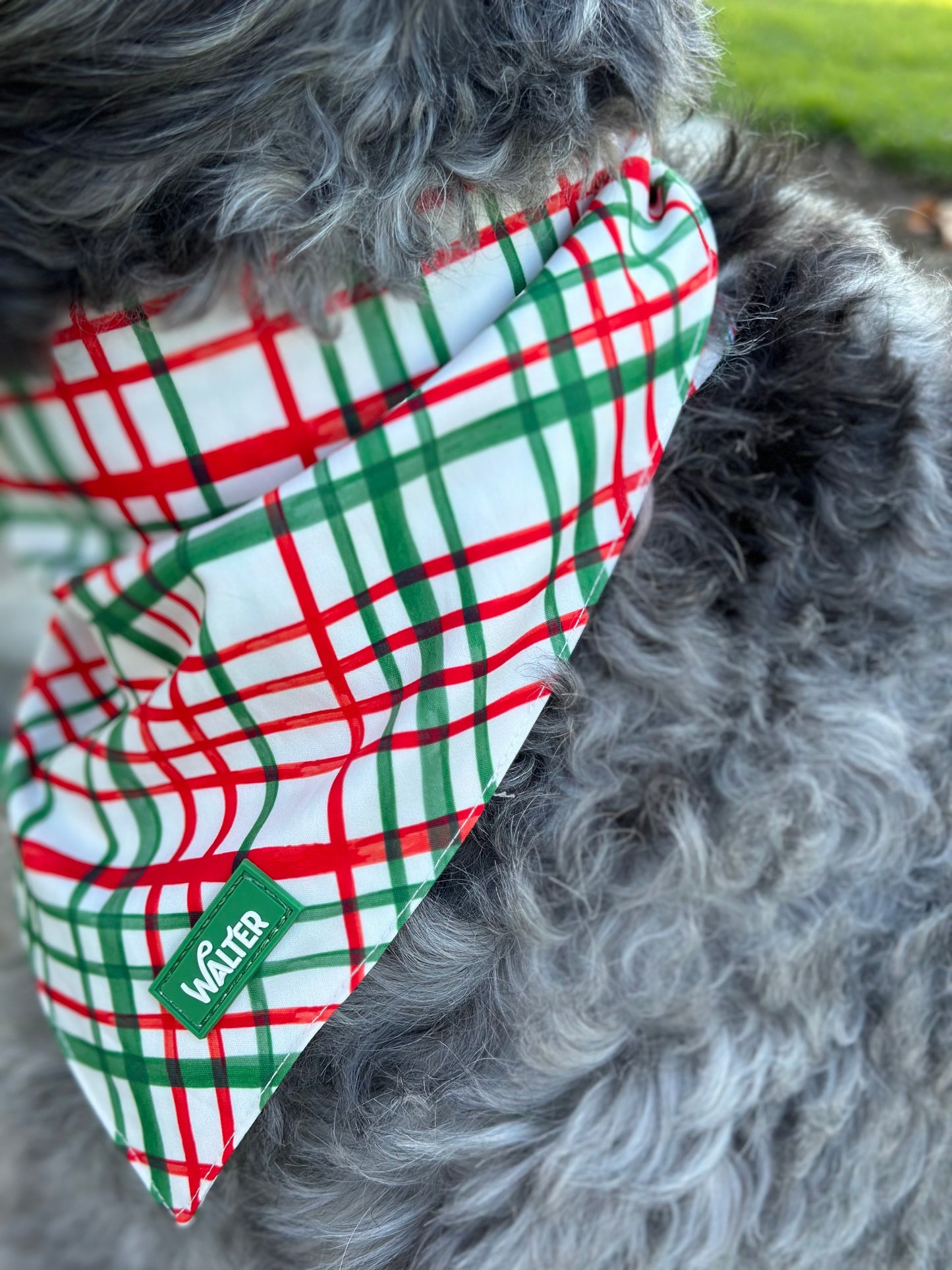 Plaid Dog Bandana