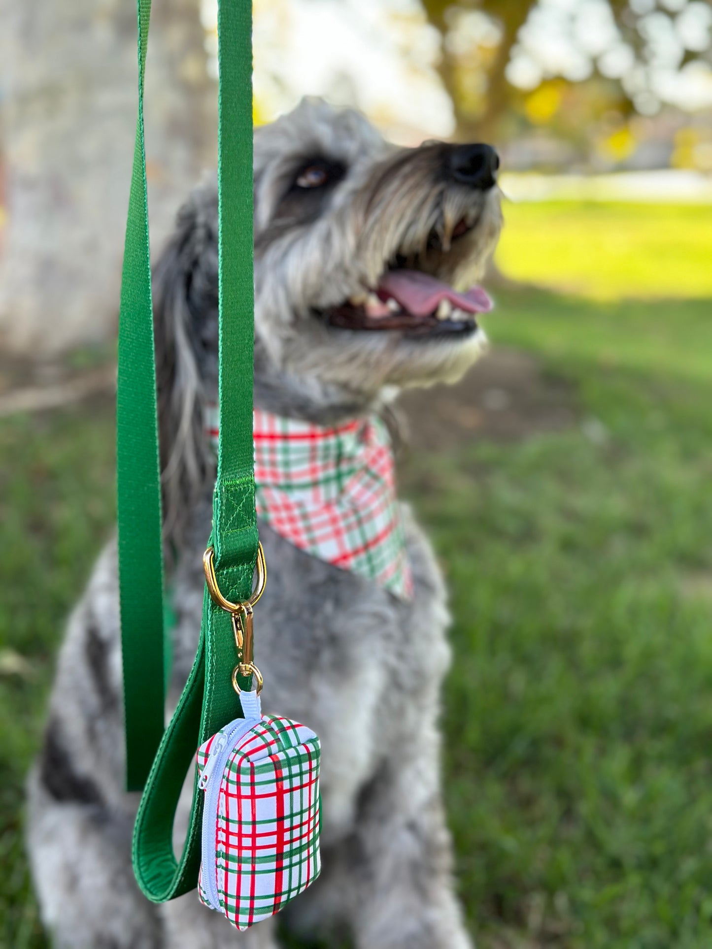 Plaid Poop Bag Holder