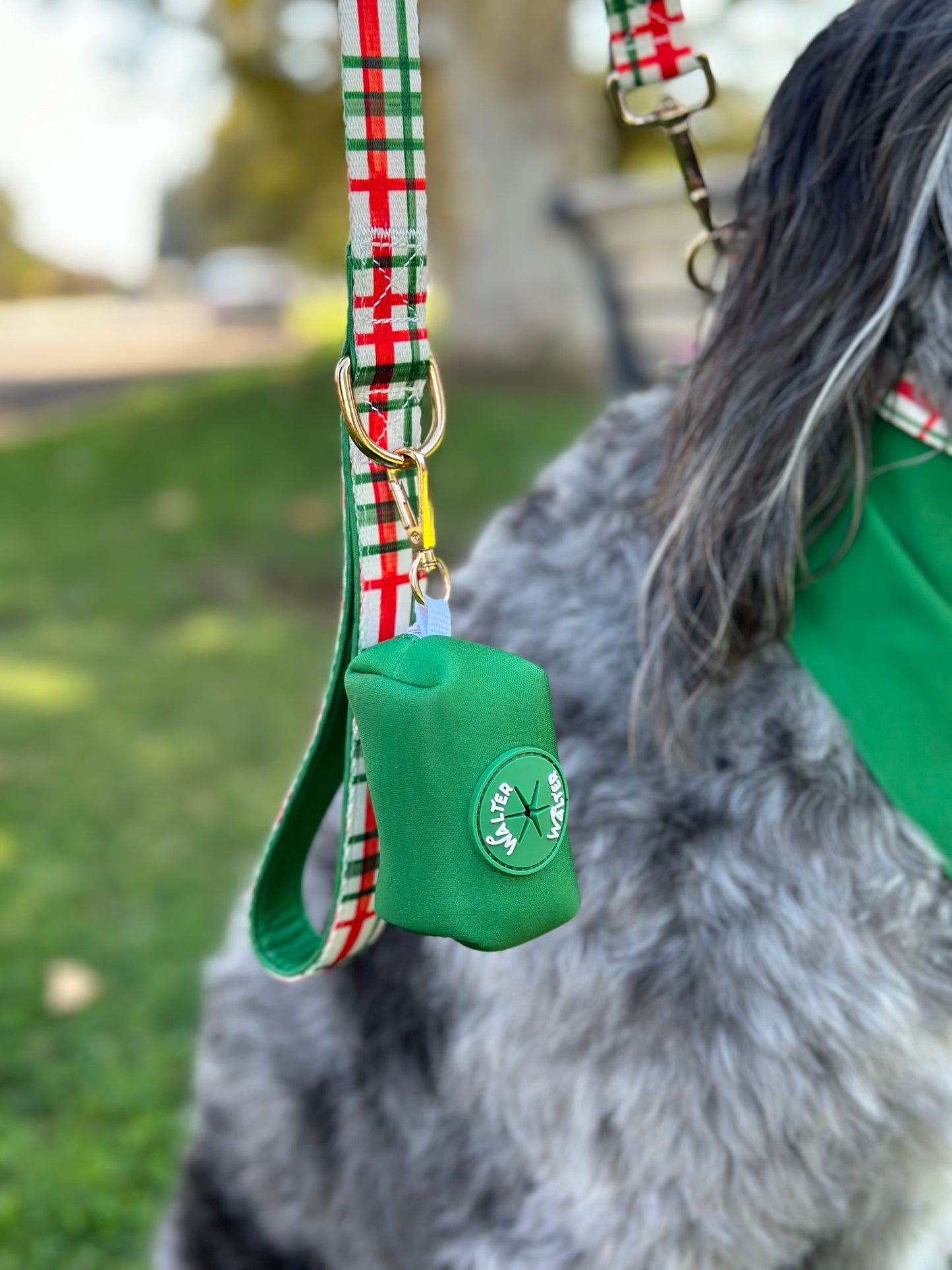 Green Poop Bag Holder