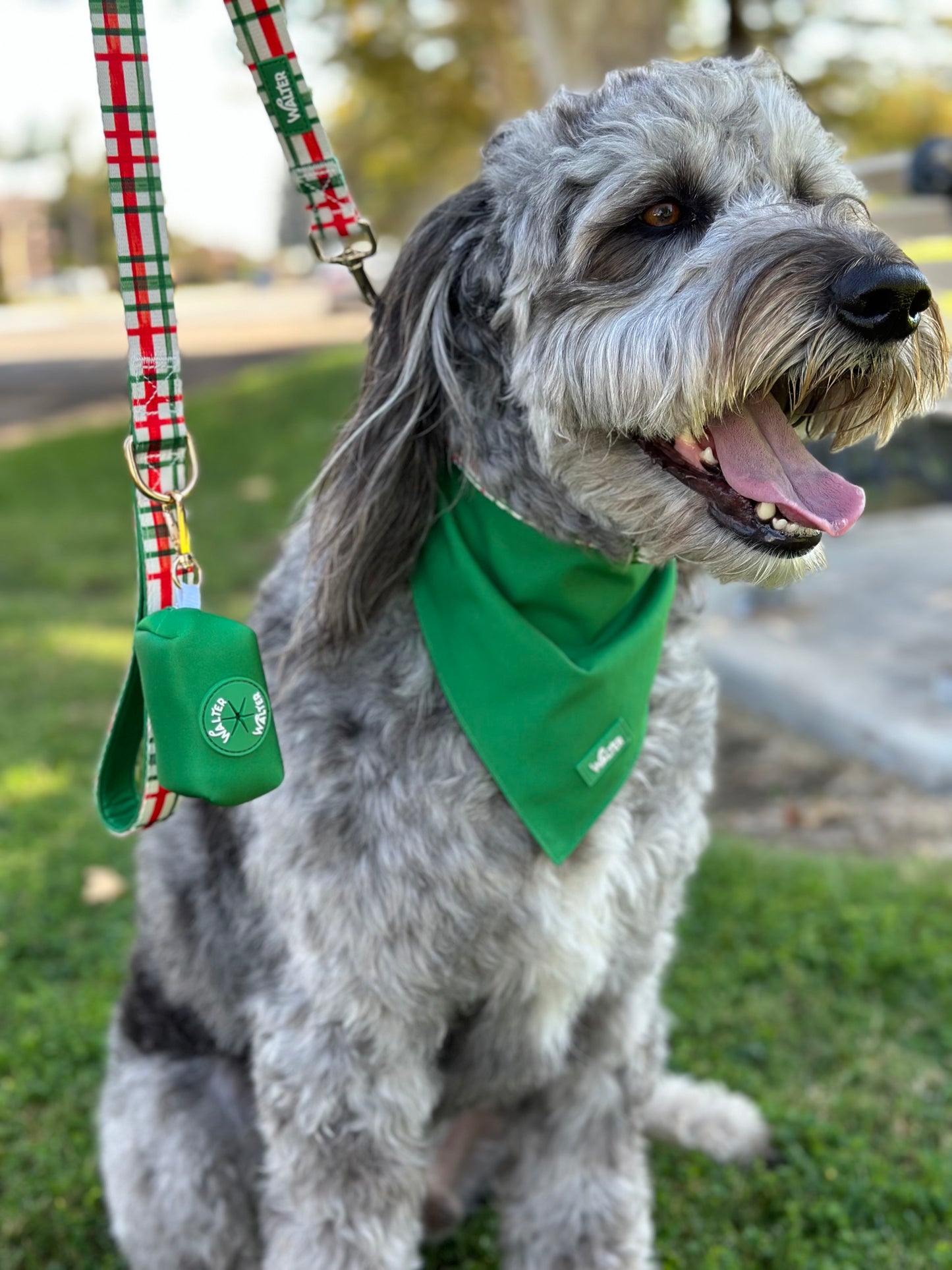 Green Dog Bandana
