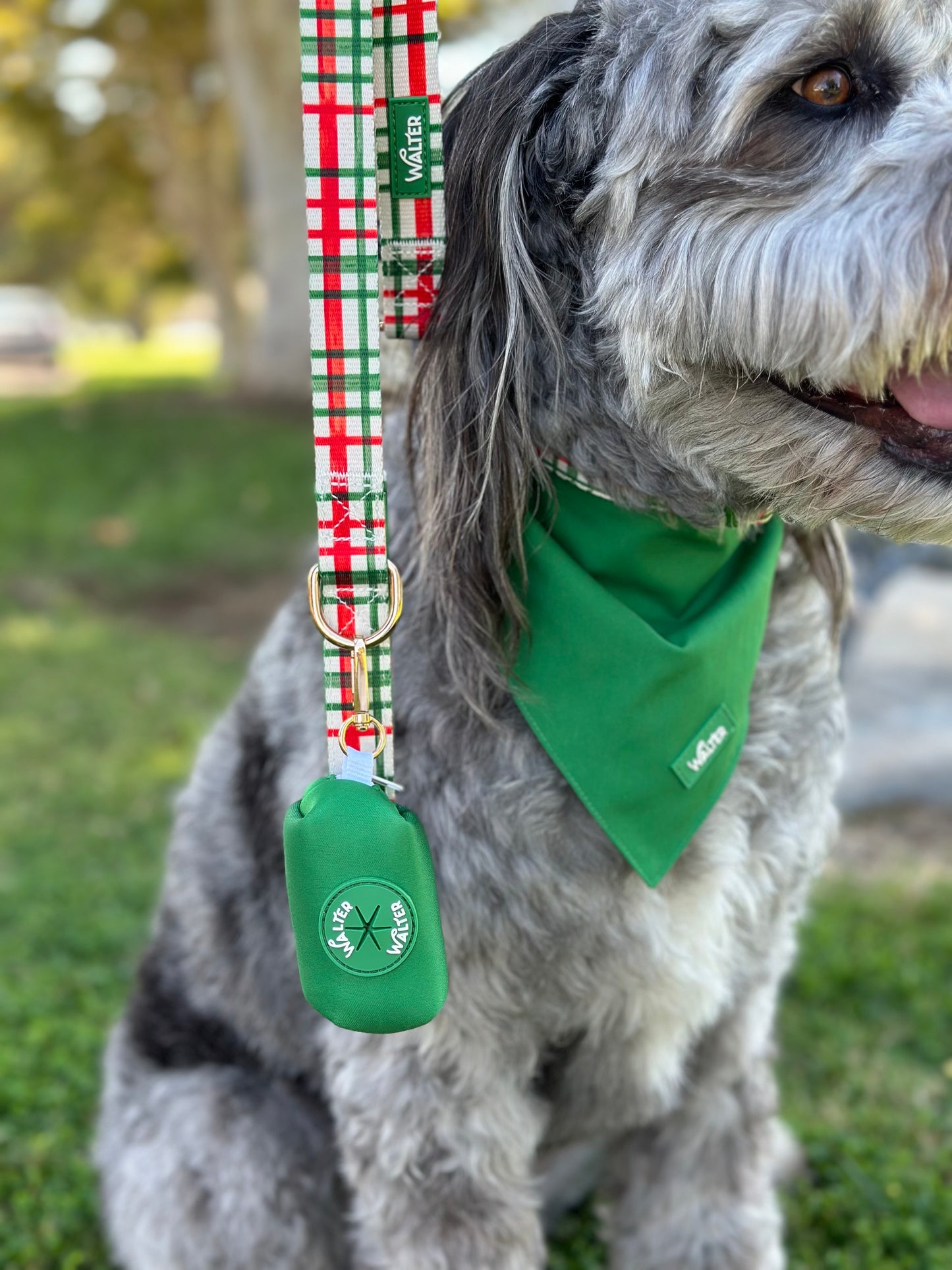 Plaid Dog Leash