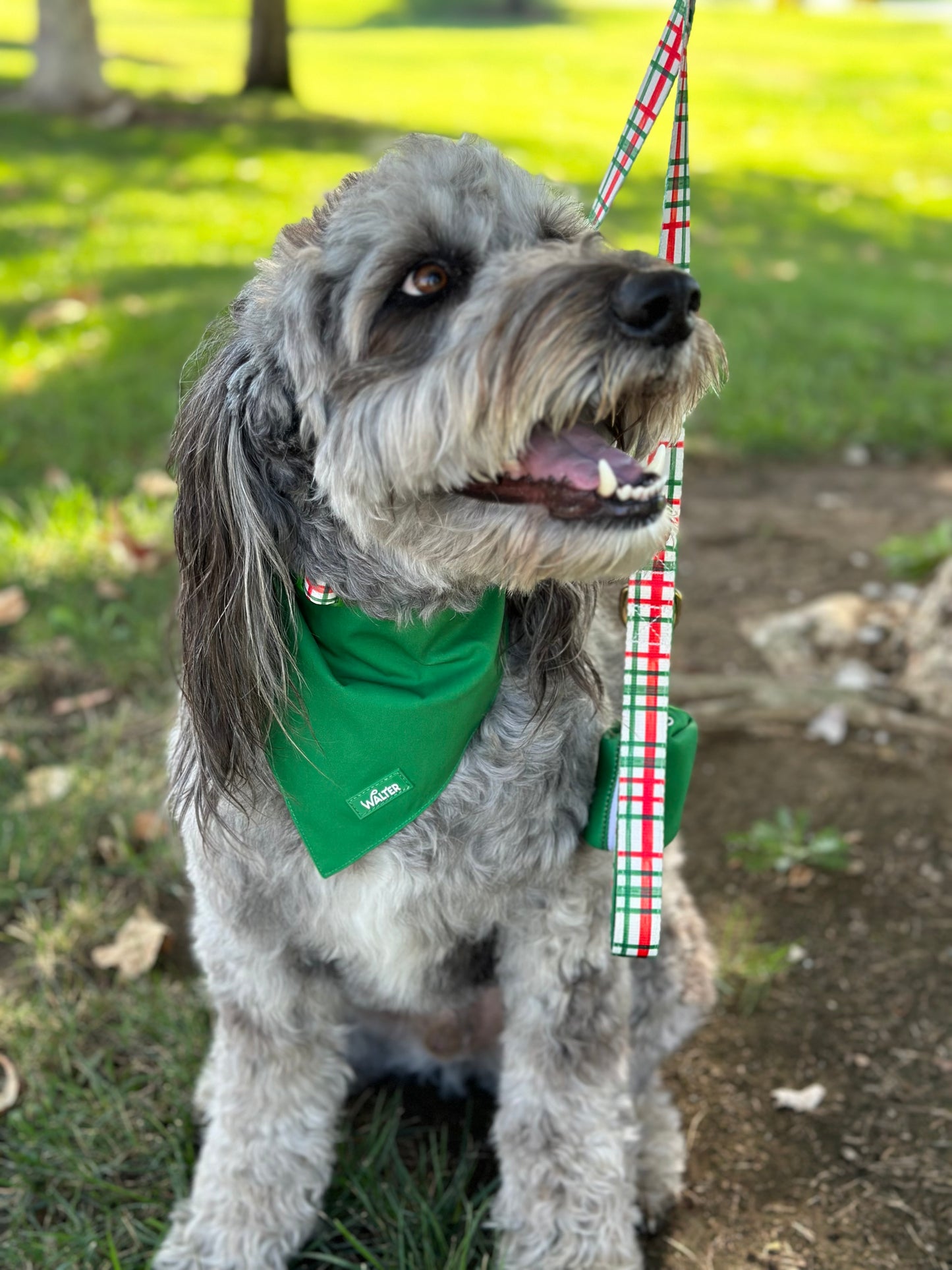 Plaid Dog Leash