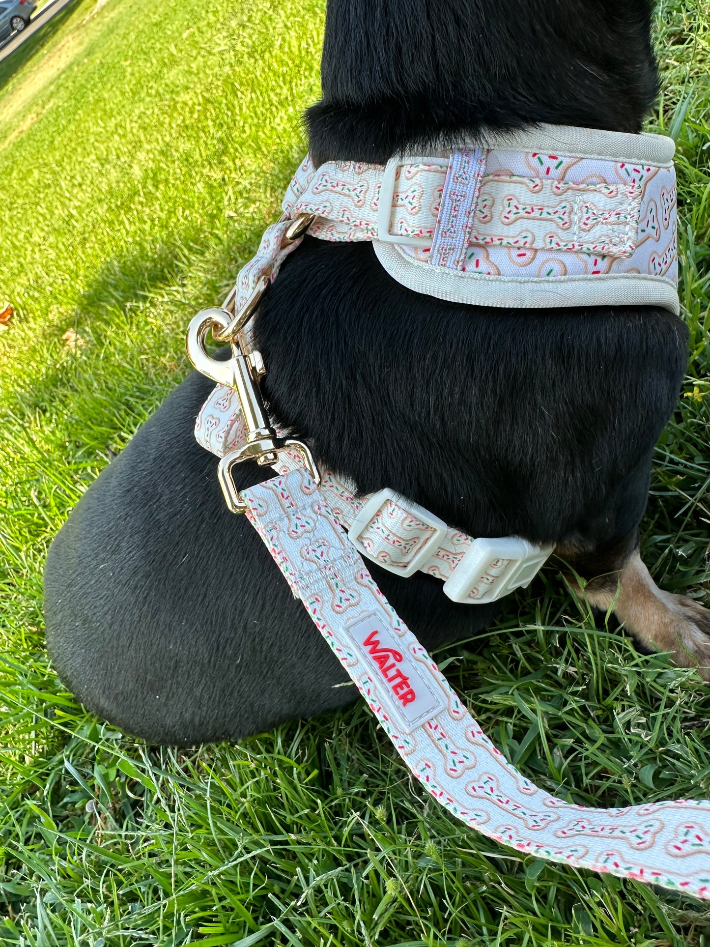 Cookie Dog Leash