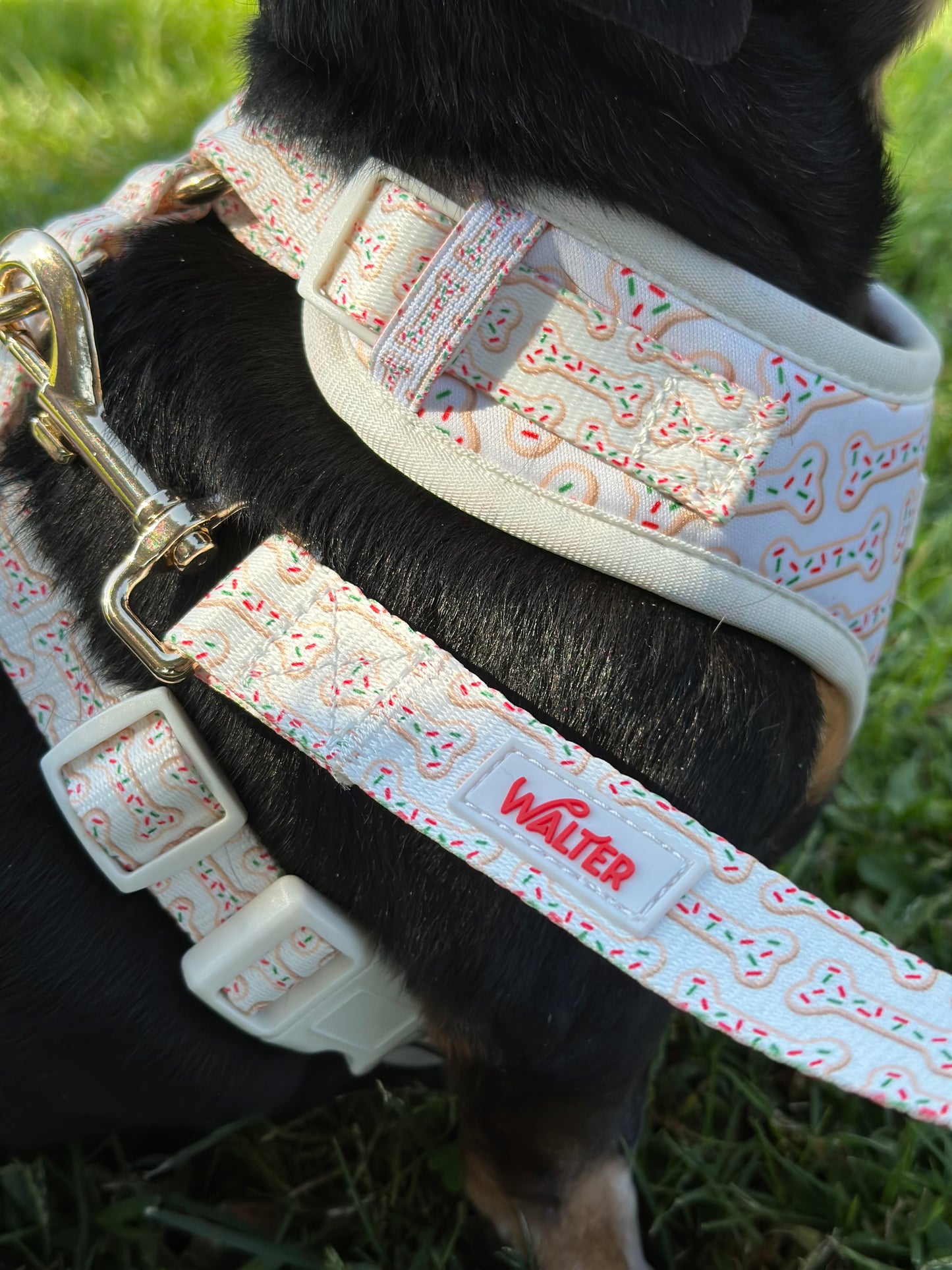 Cookie Dog Harness