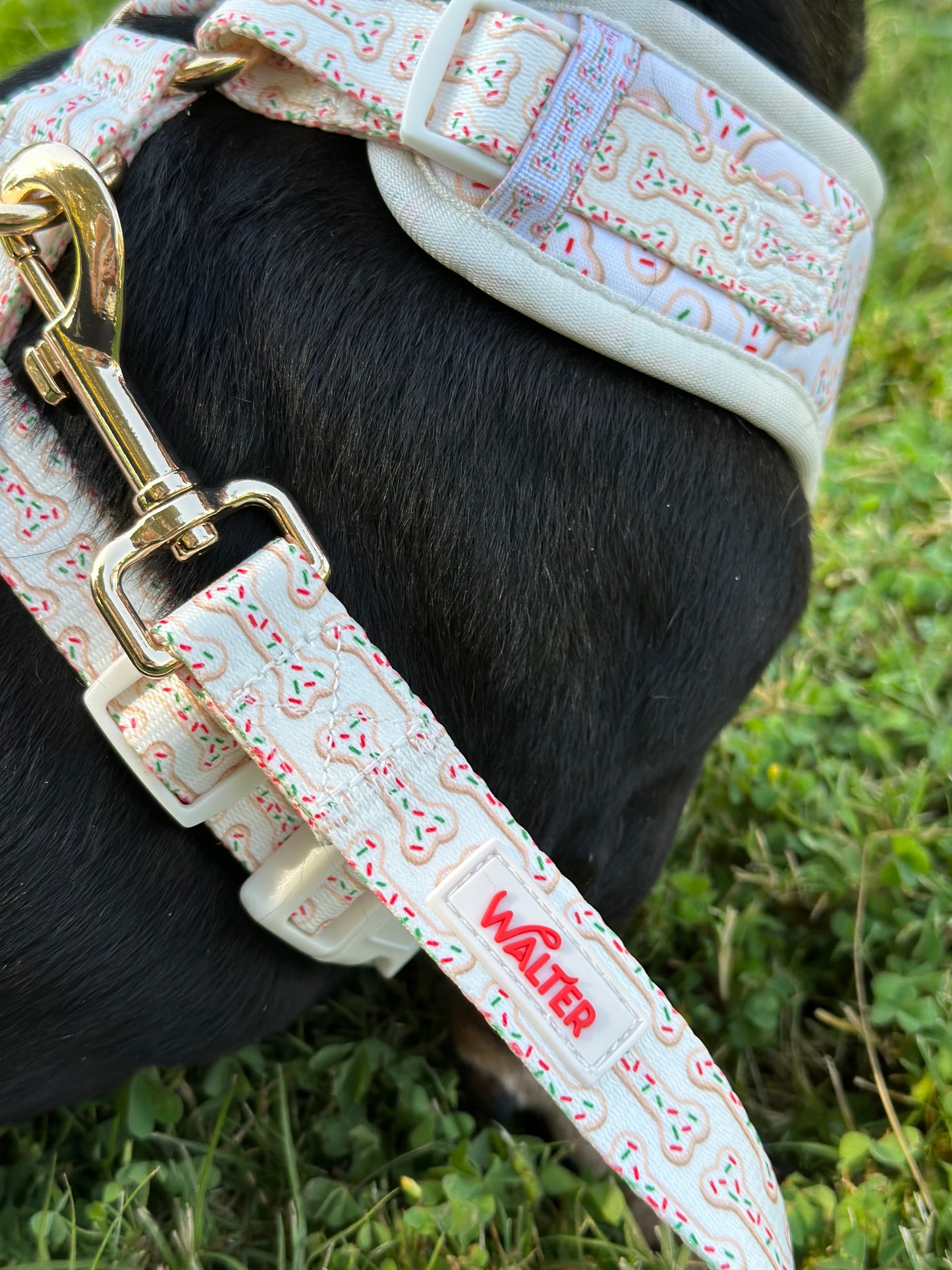 Cookie Dog Leash