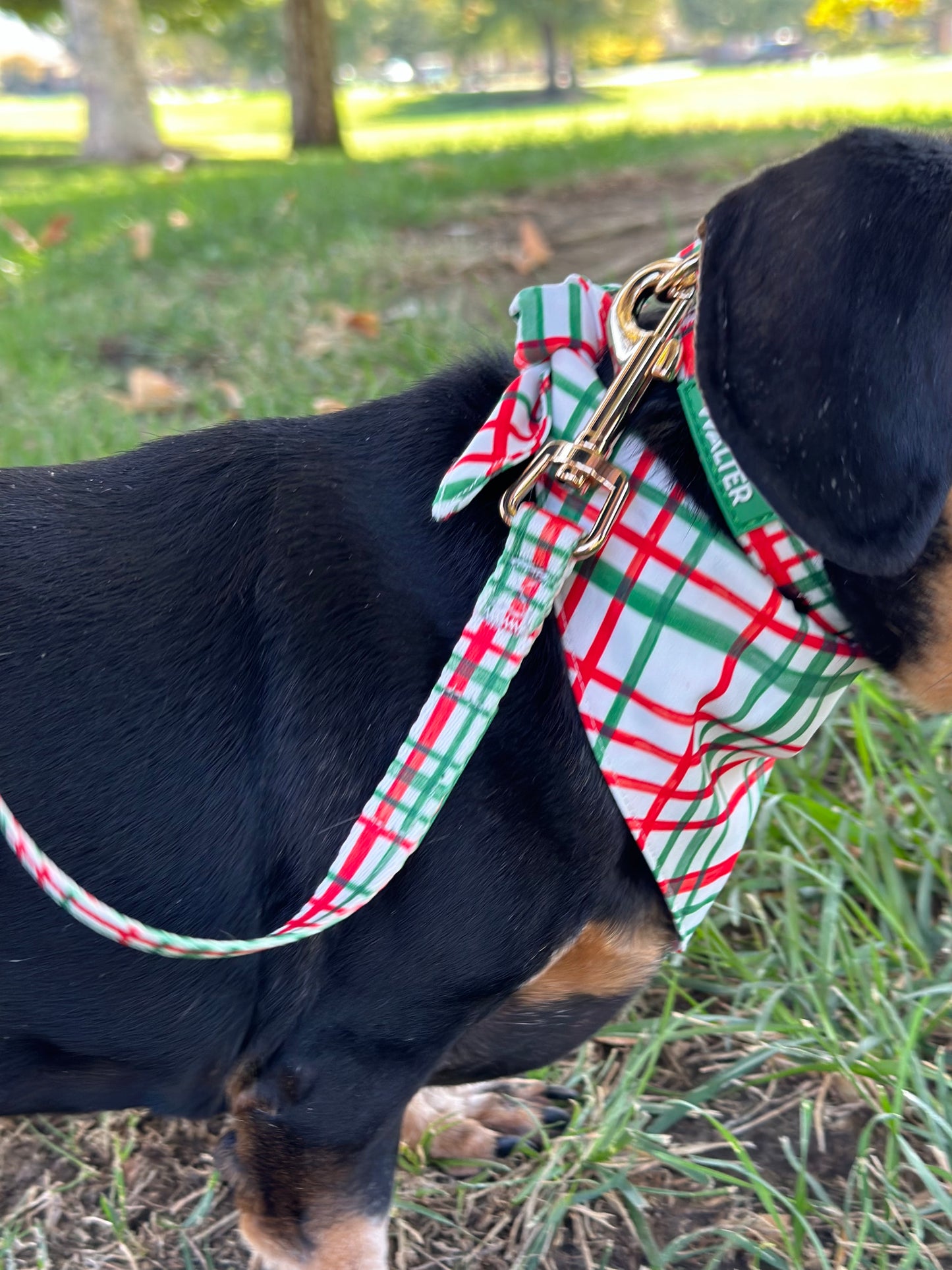 Plaid Dog Bandana