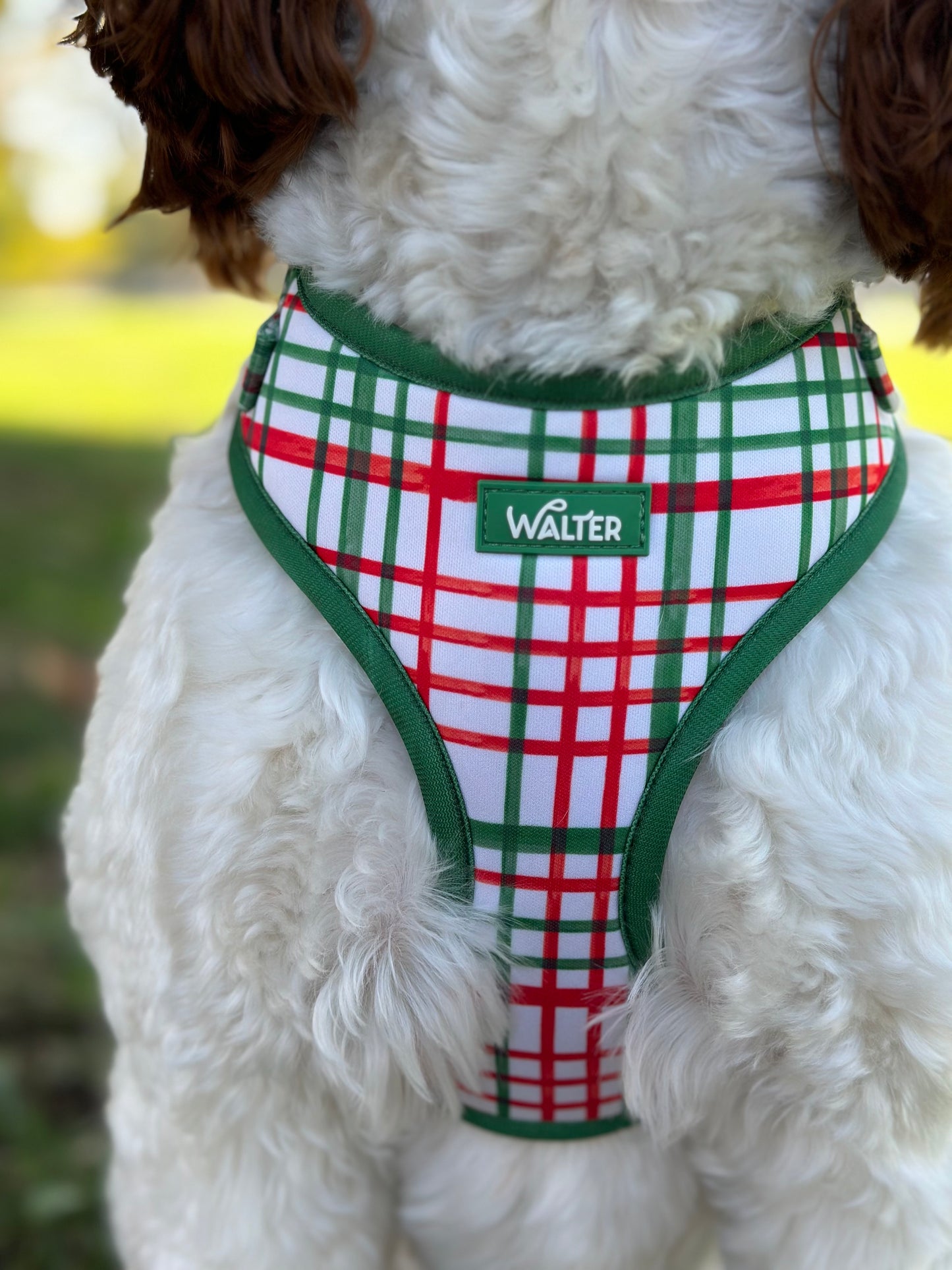 Plaid Dog Harness
