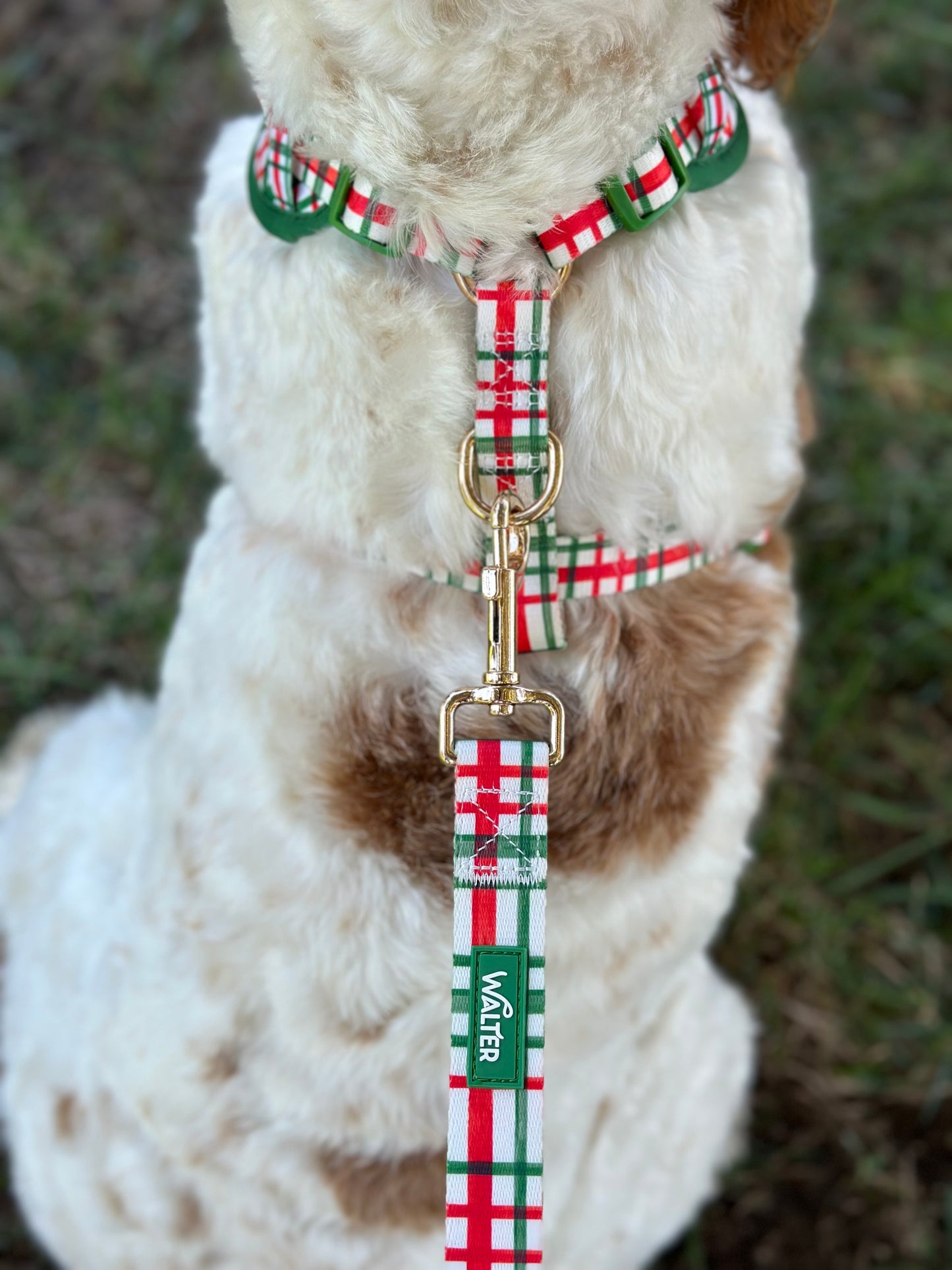 Plaid Dog Leash