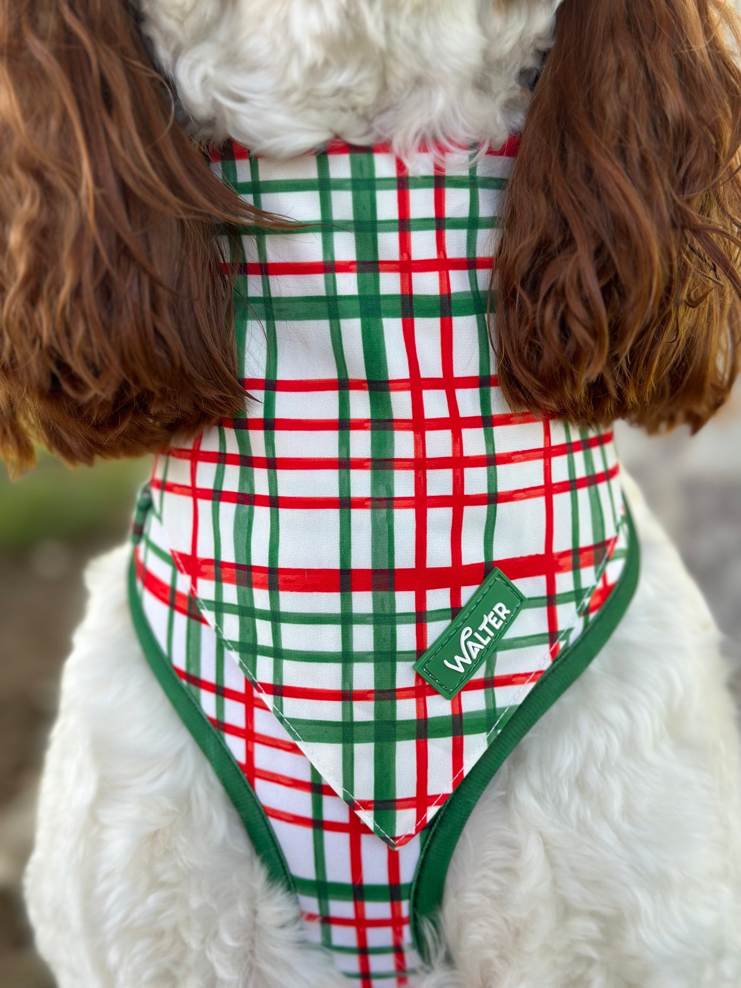Plaid Dog Bandana