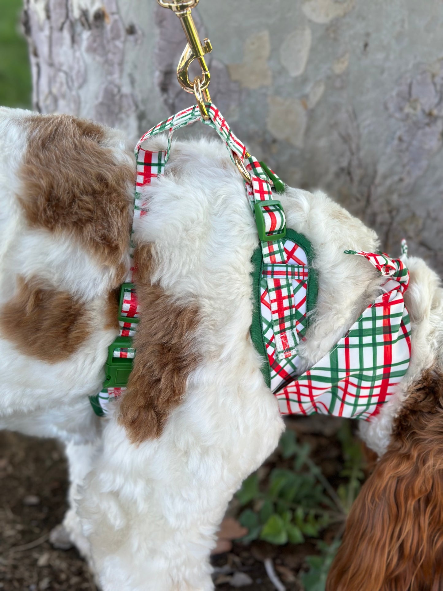 Plaid Dog Harness