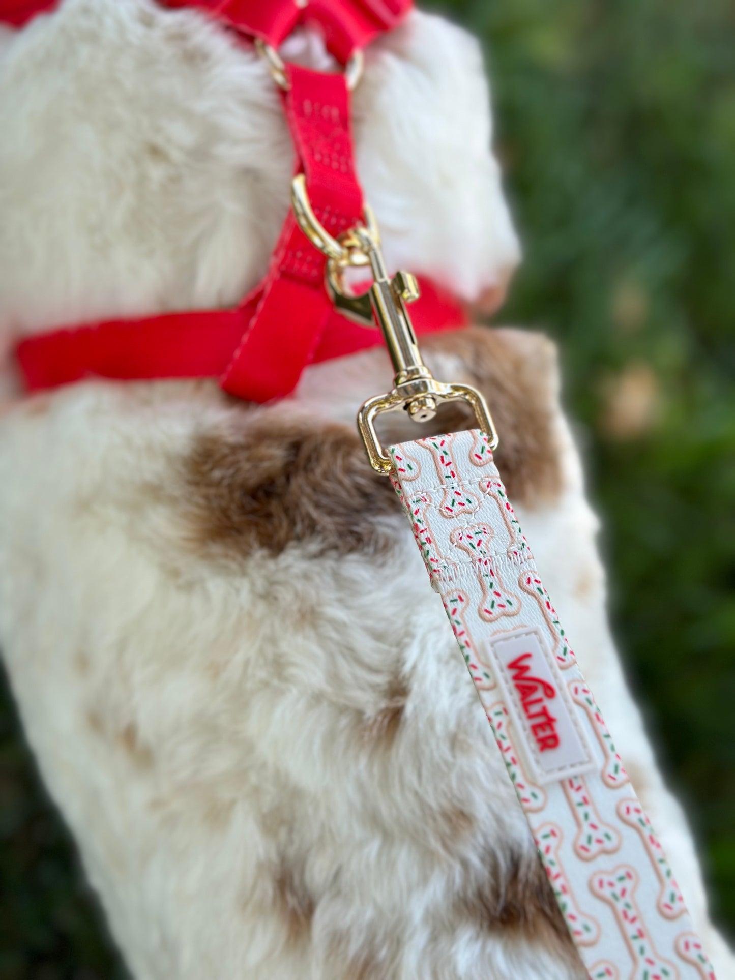 Cookie Dog Leash