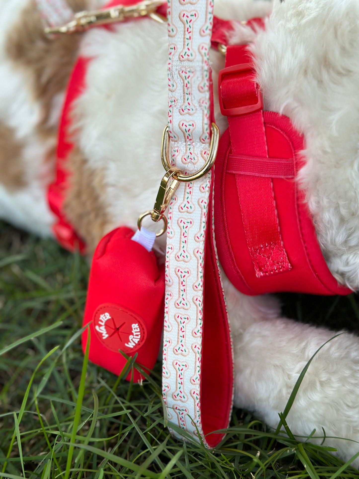 Cookie Dog Leash