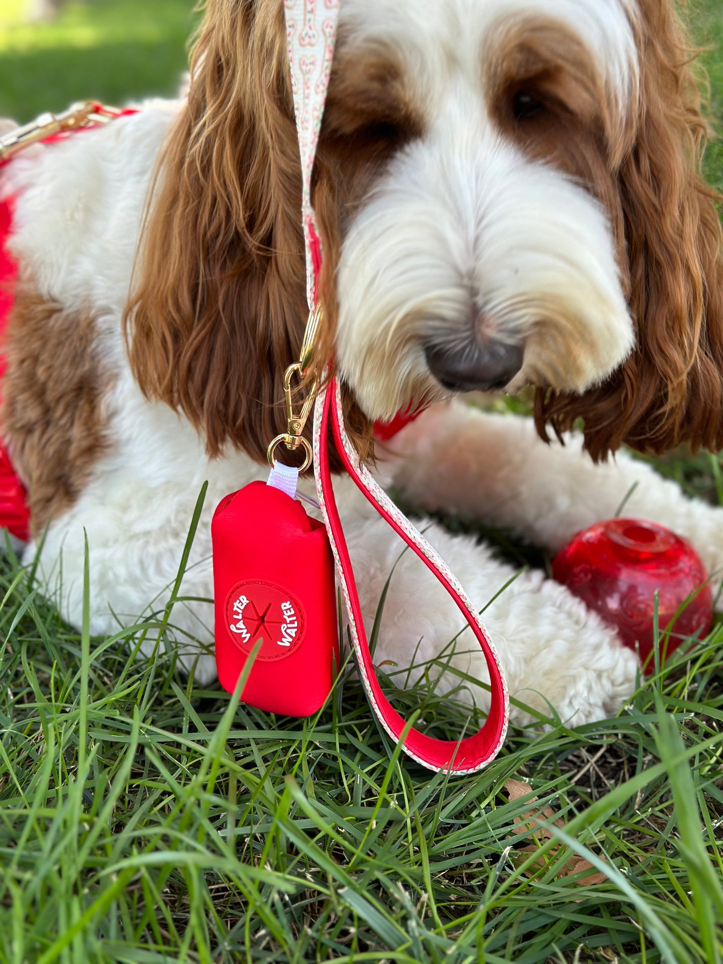 Red Poop Bag Holder