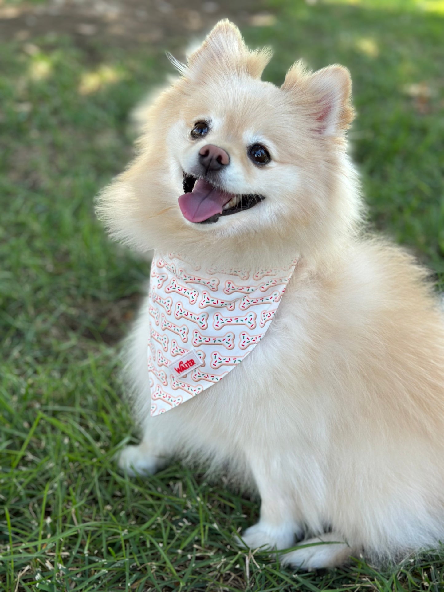 Cookie Dog Bandana