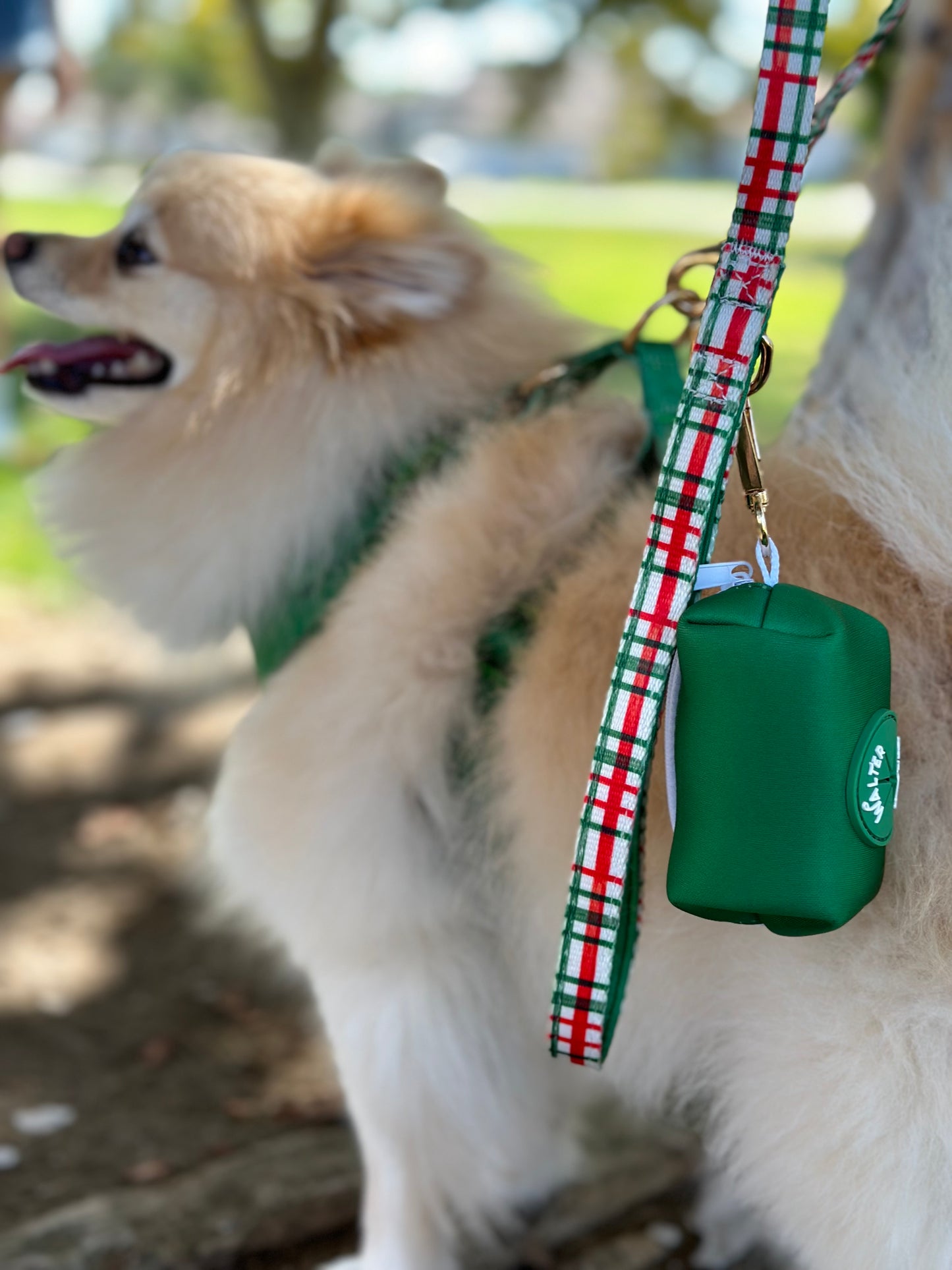 Plaid Dog Leash