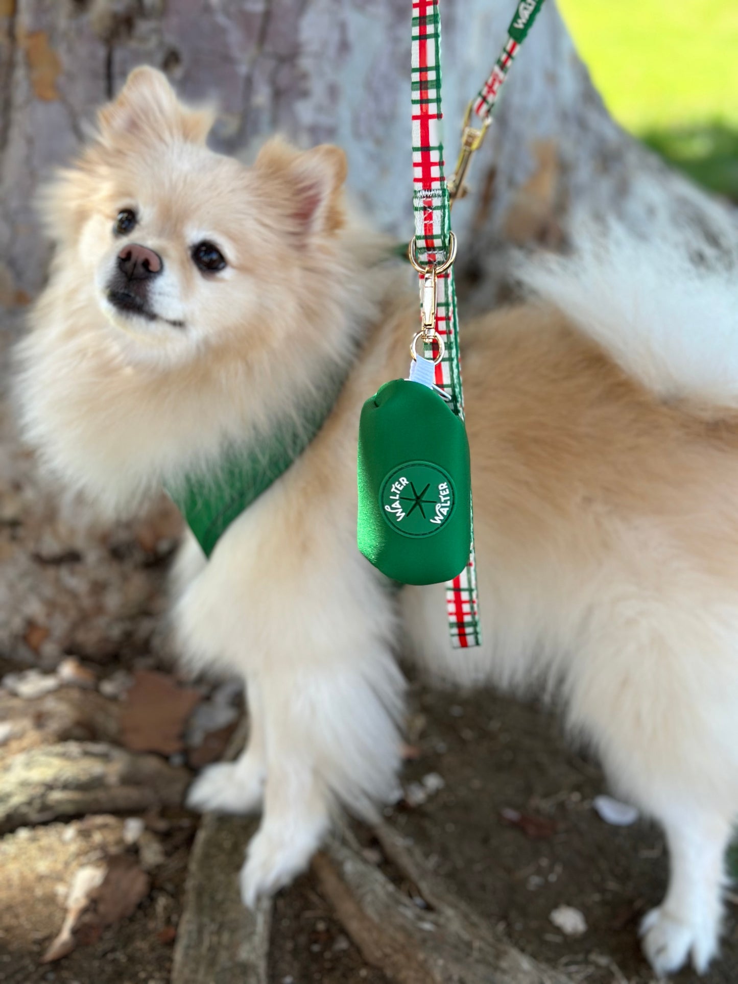 Green Poop Bag Holder