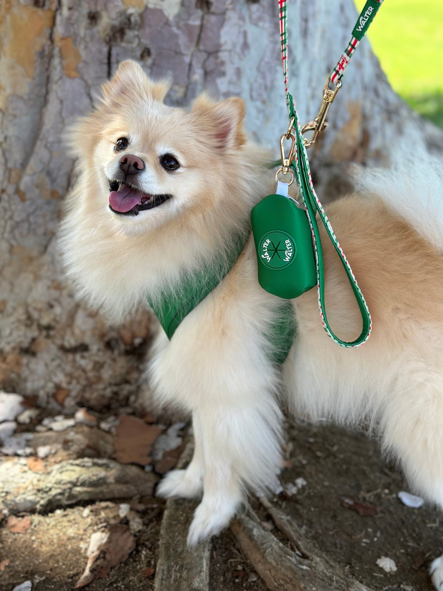 Green Dog Harness