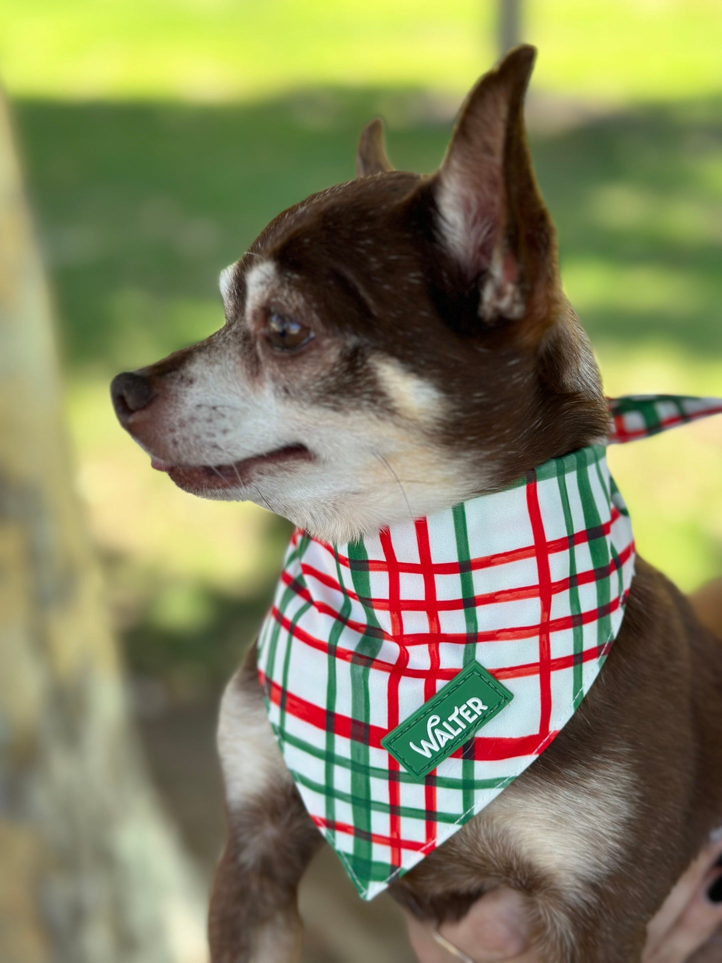 Plaid Dog Bandana