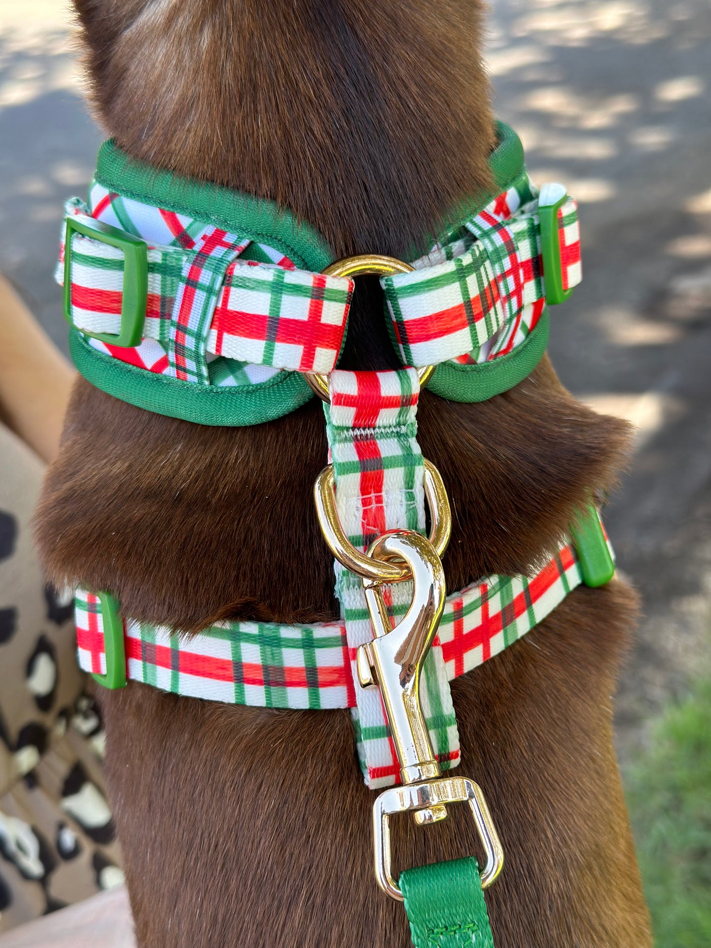 Plaid Dog Harness