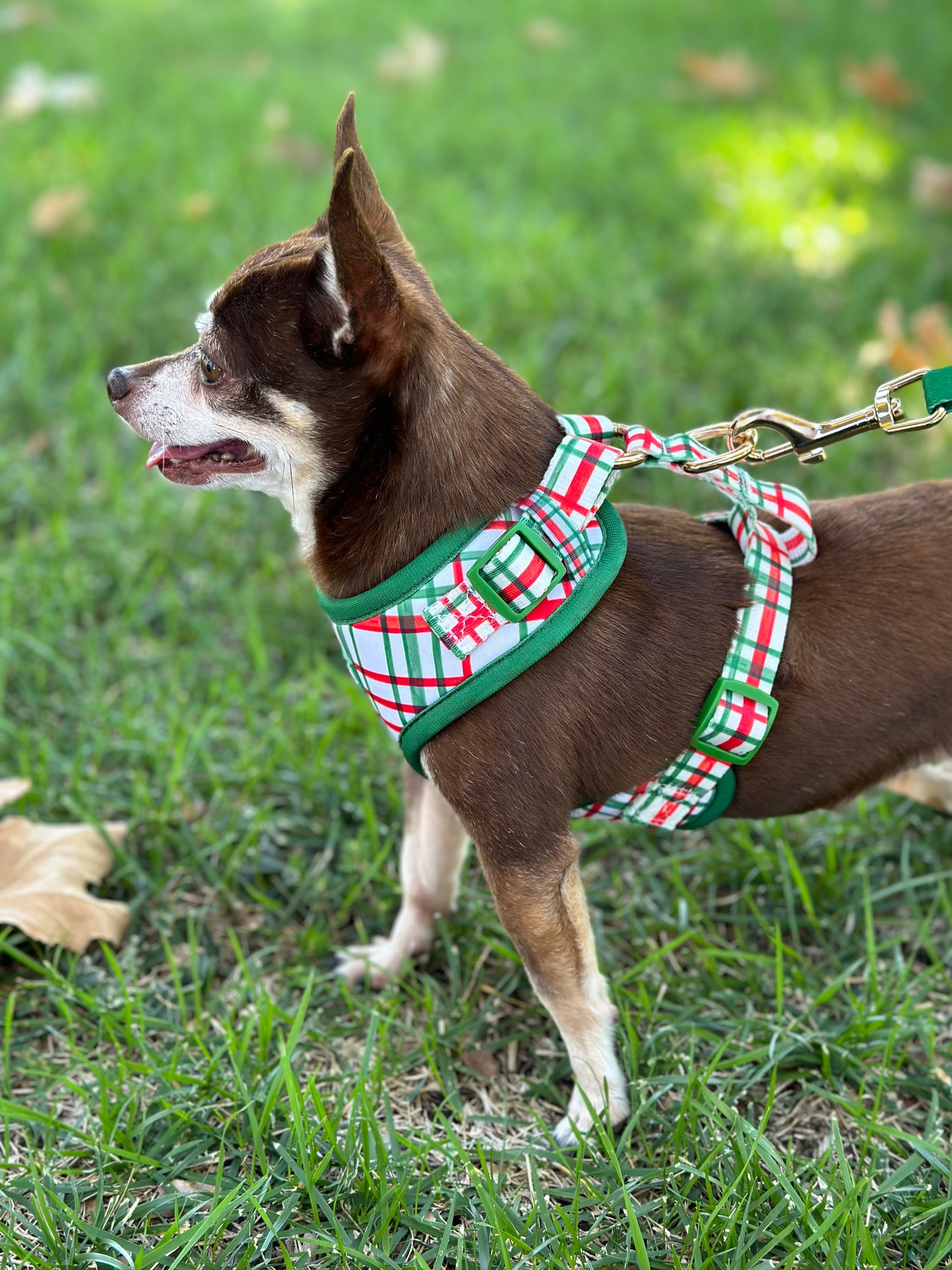 Plaid Dog Harness